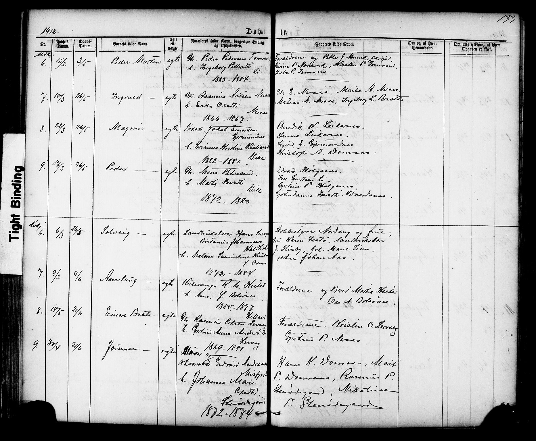 Ministerialprotokoller, klokkerbøker og fødselsregistre - Møre og Romsdal, AV/SAT-A-1454/539/L0536: Parish register (copy) no. 539C02, 1867-1913, p. 133