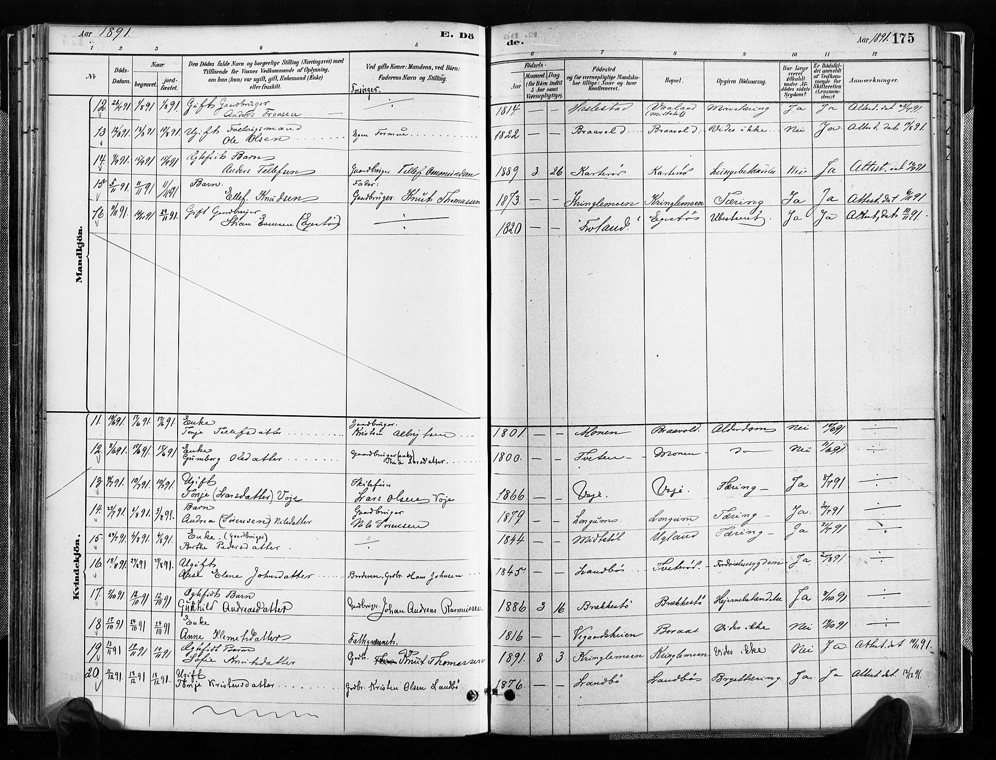 Austre Moland sokneprestkontor, SAK/1111-0001/F/Fa/Faa/L0010: Parish register (official) no. A 10, 1880-1904, p. 175