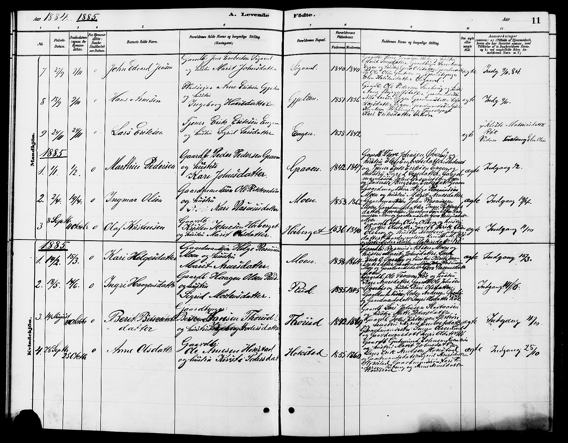Tynset prestekontor, SAH/PREST-058/H/Ha/Hab/L0007: Parish register (copy) no. 7, 1880-1901, p. 11