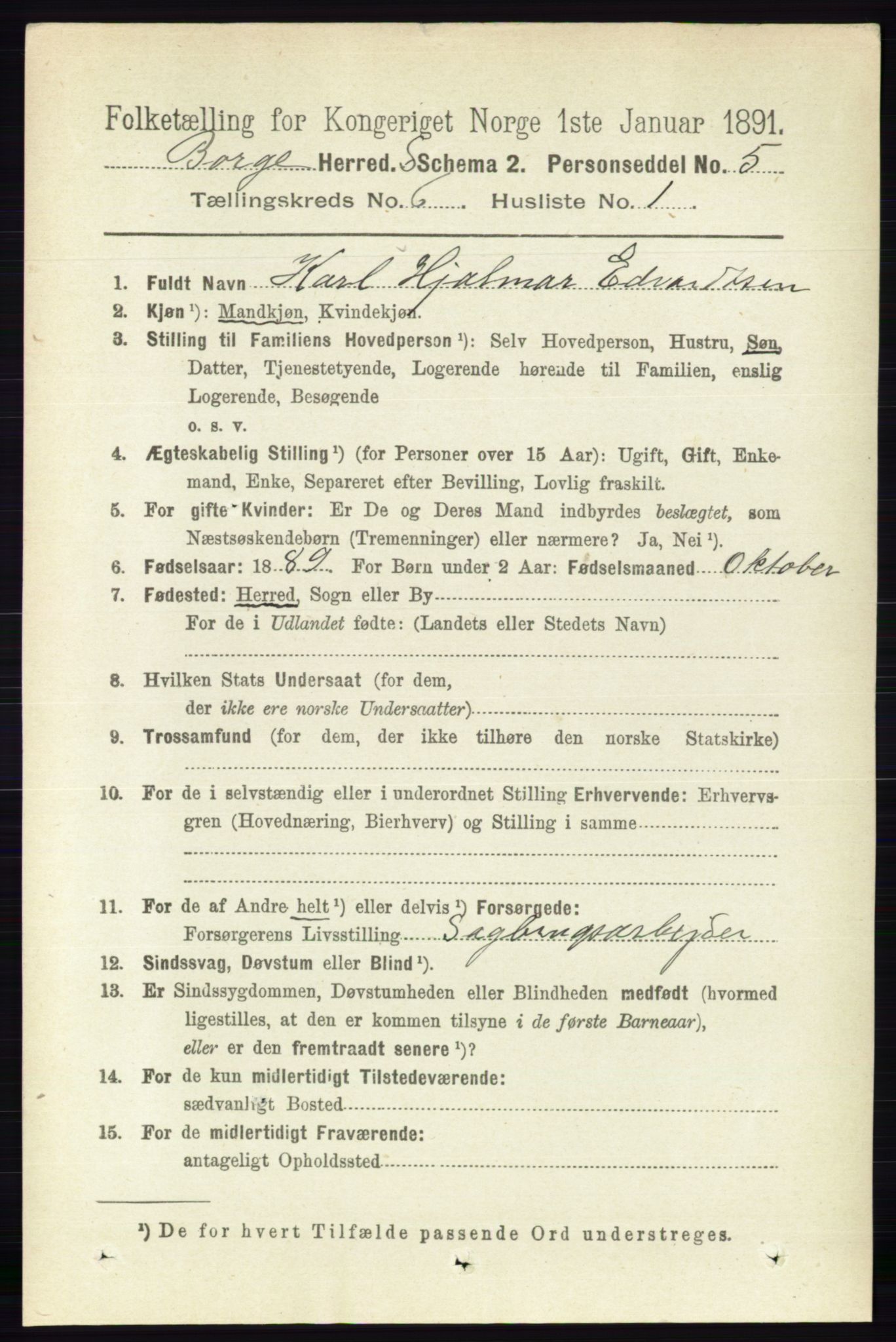 RA, 1891 census for 0113 Borge, 1891, p. 3040