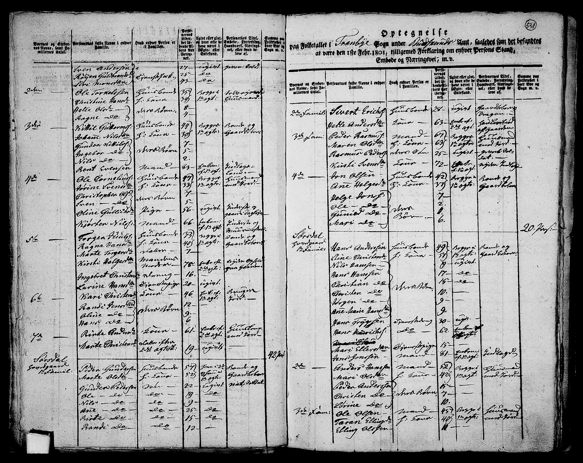 RA, 1801 census for 0626P Lier, 1801, p. 530b-531a