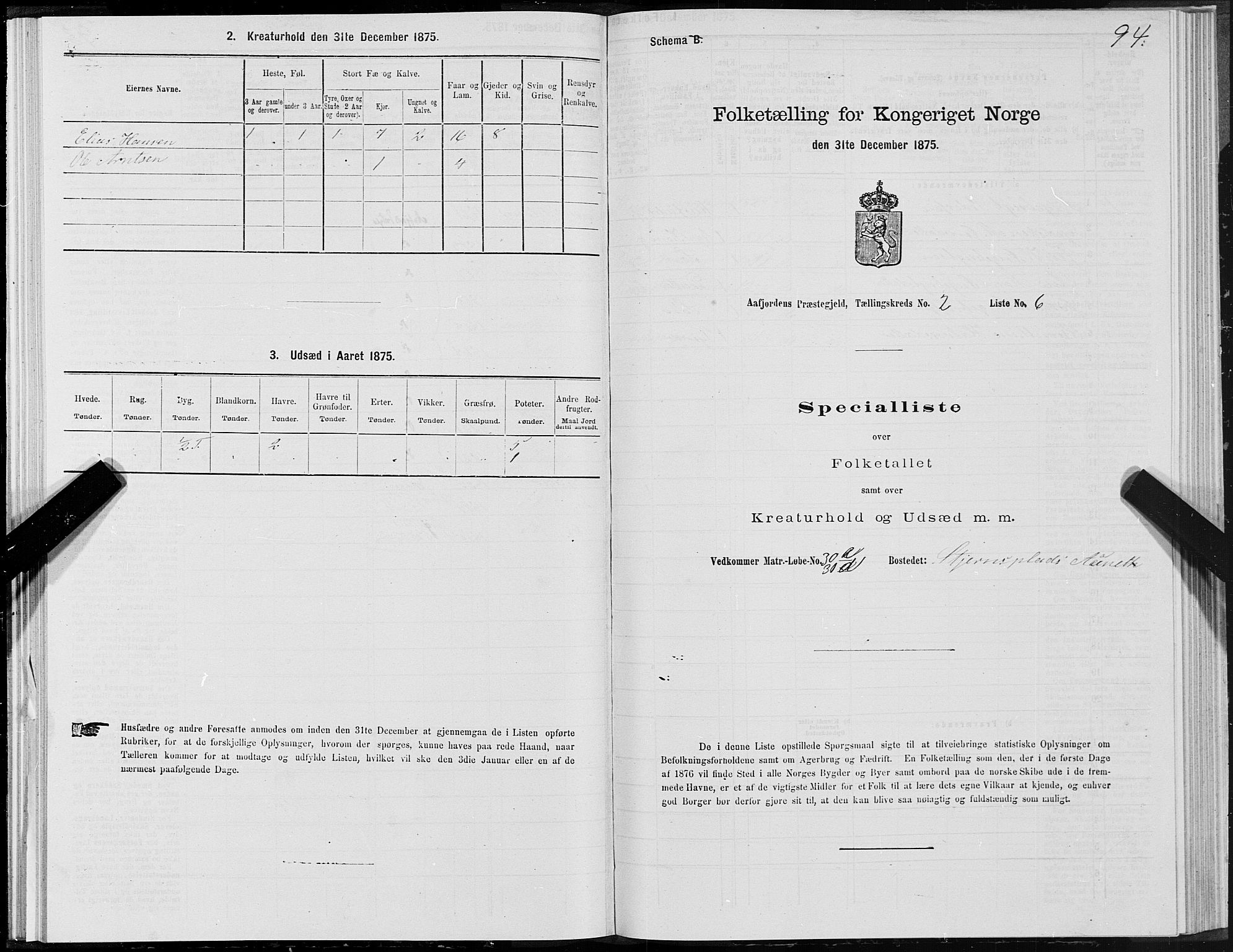 SAT, 1875 census for 1630P Aafjorden, 1875, p. 1094