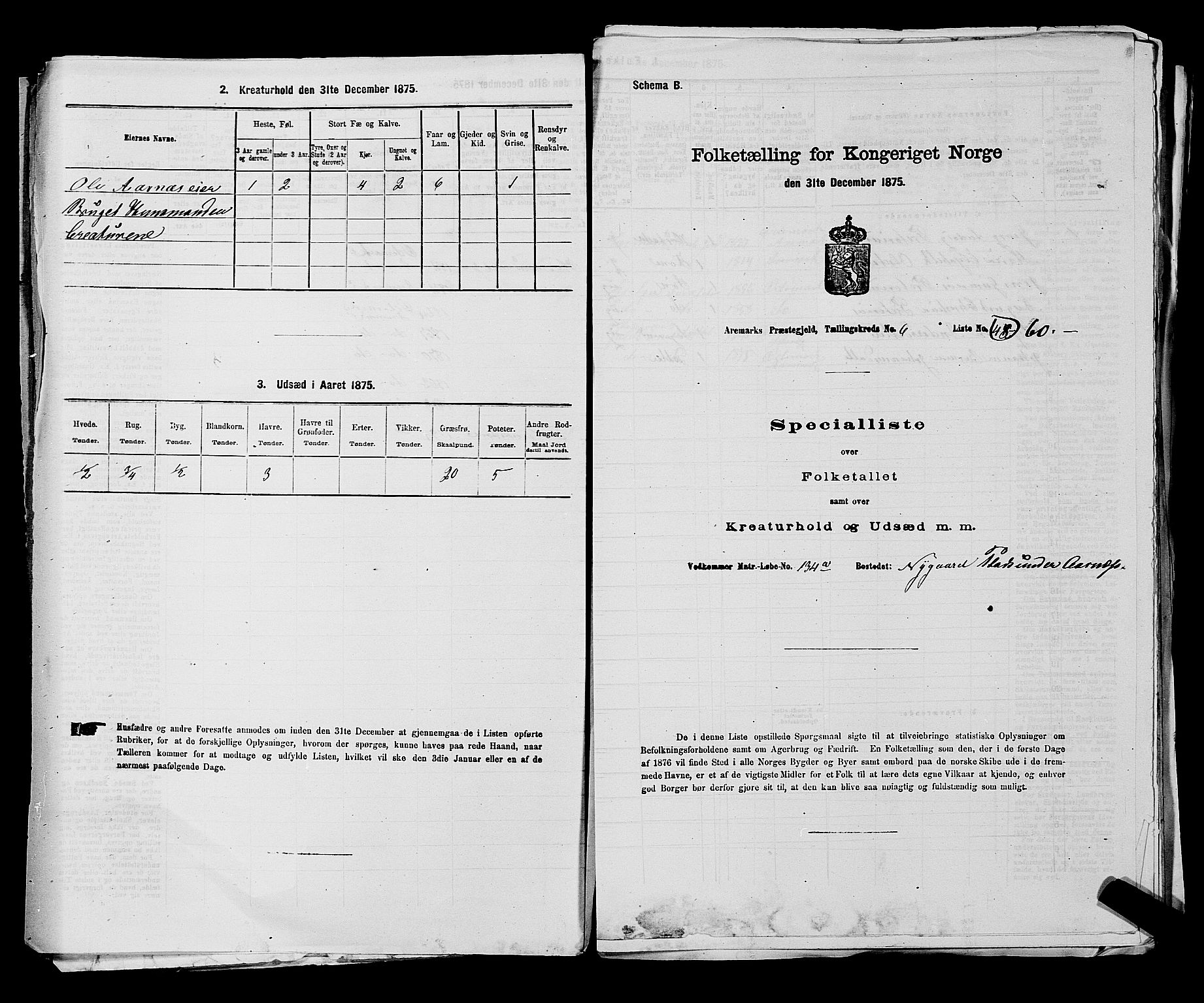 RA, 1875 census for 0118P Aremark, 1875, p. 933