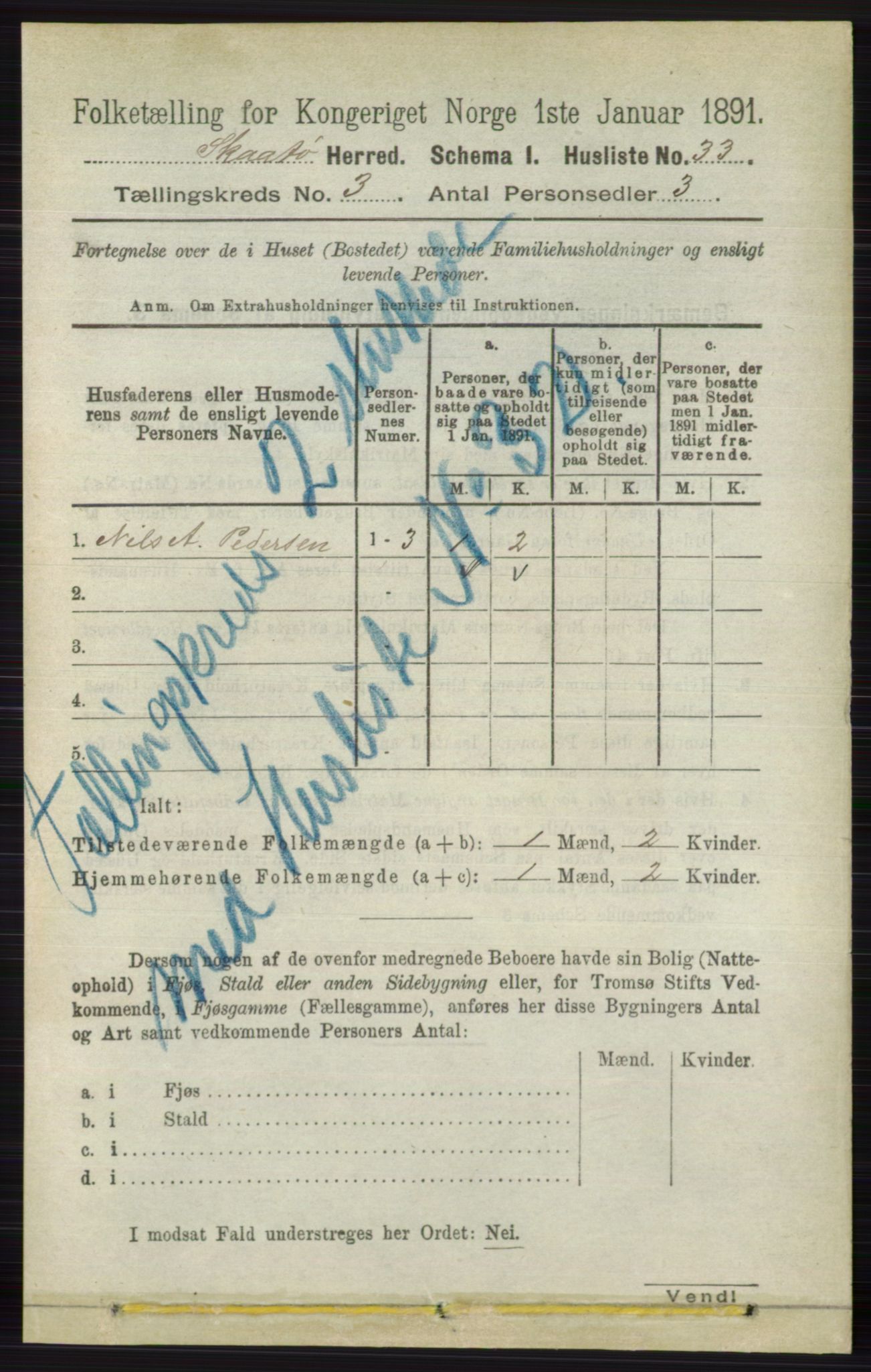 RA, 1891 census for 0815 Skåtøy, 1891, p. 606