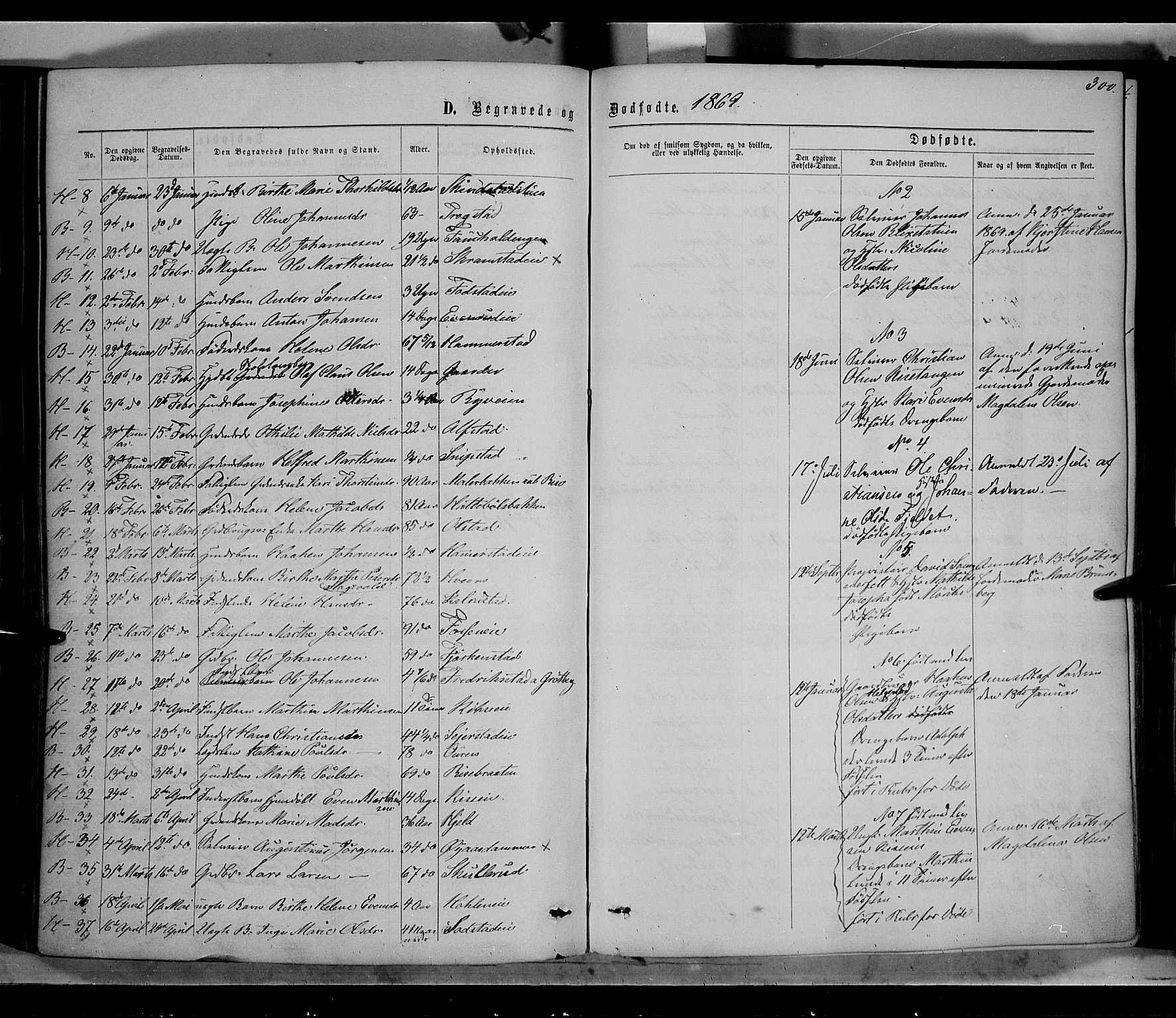 Østre Toten prestekontor, AV/SAH-PREST-104/H/Ha/Haa/L0005: Parish register (official) no. 5, 1866-1877, p. 300