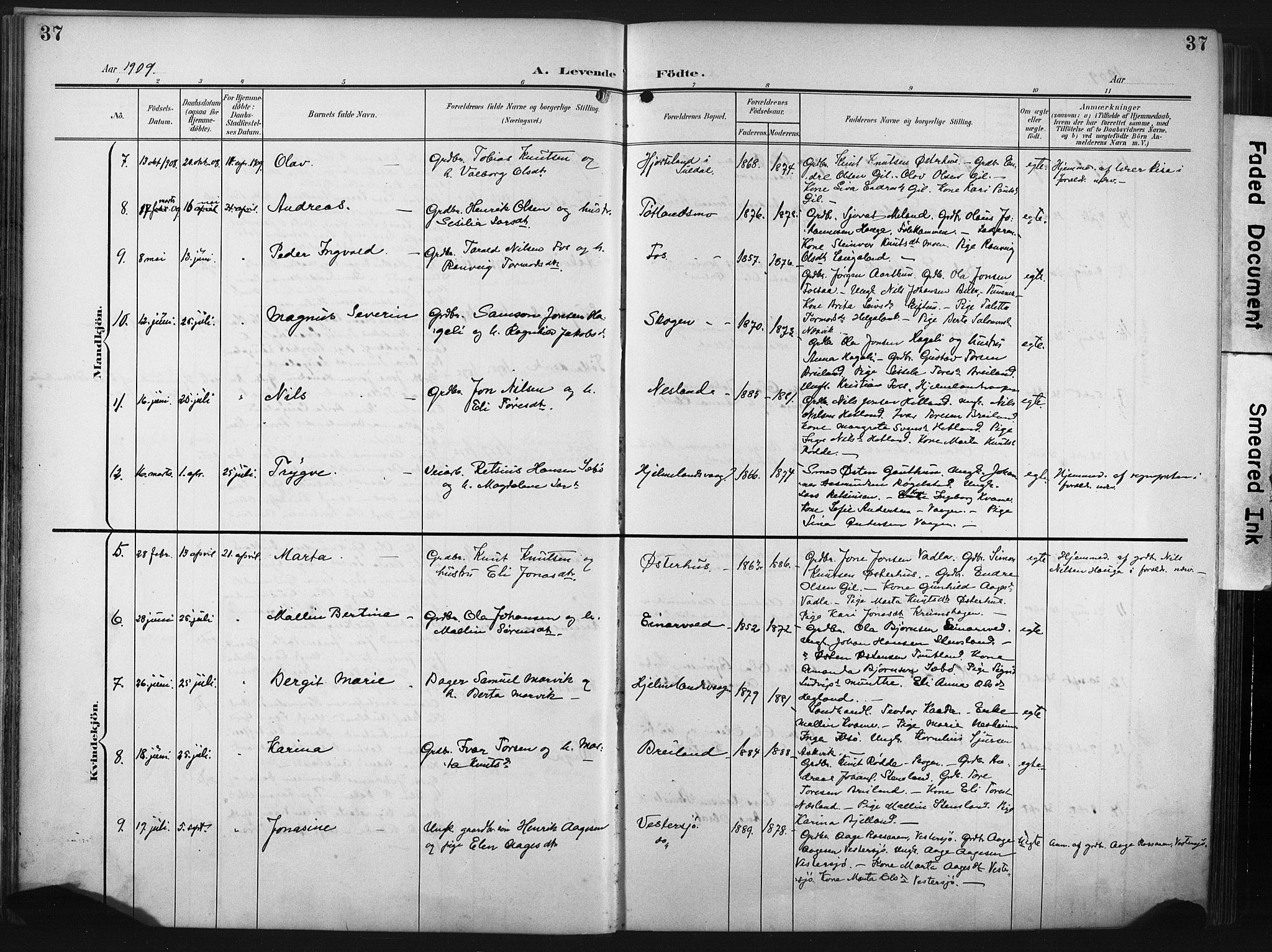 Hjelmeland sokneprestkontor, AV/SAST-A-101843/02/A/L0002: Parish register (official) no. A 17, 1901-1916, p. 37