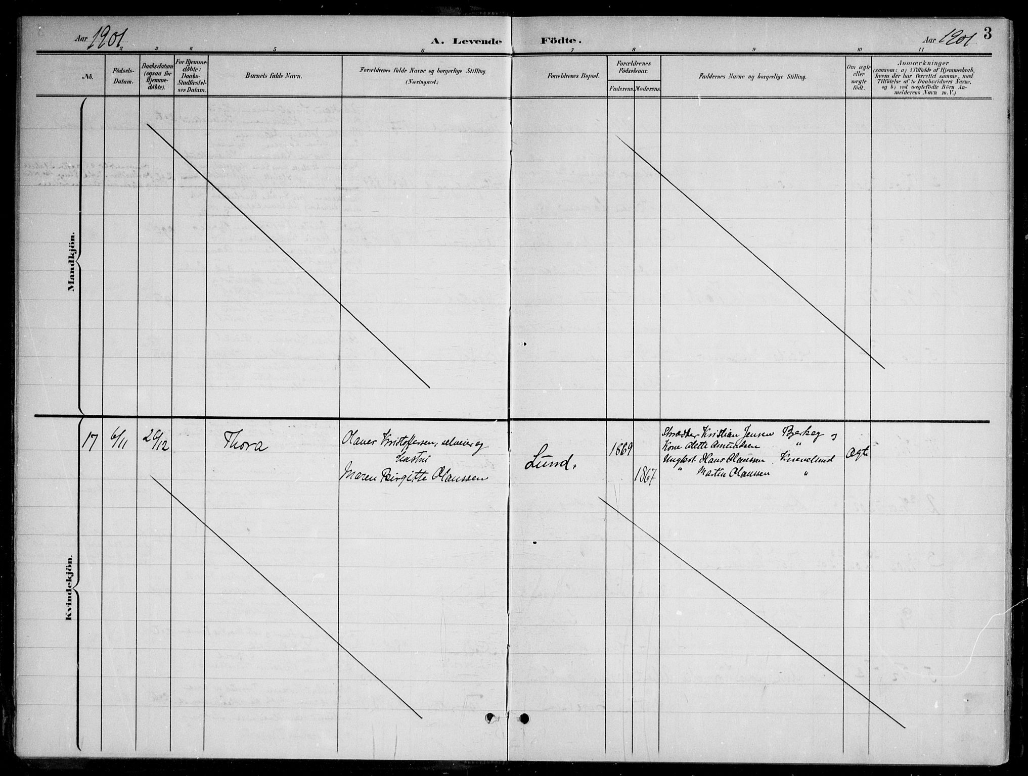 Nannestad prestekontor Kirkebøker, AV/SAO-A-10414a/G/Gb/L0001: Parish register (copy) no. II 1, 1901-1917, p. 3