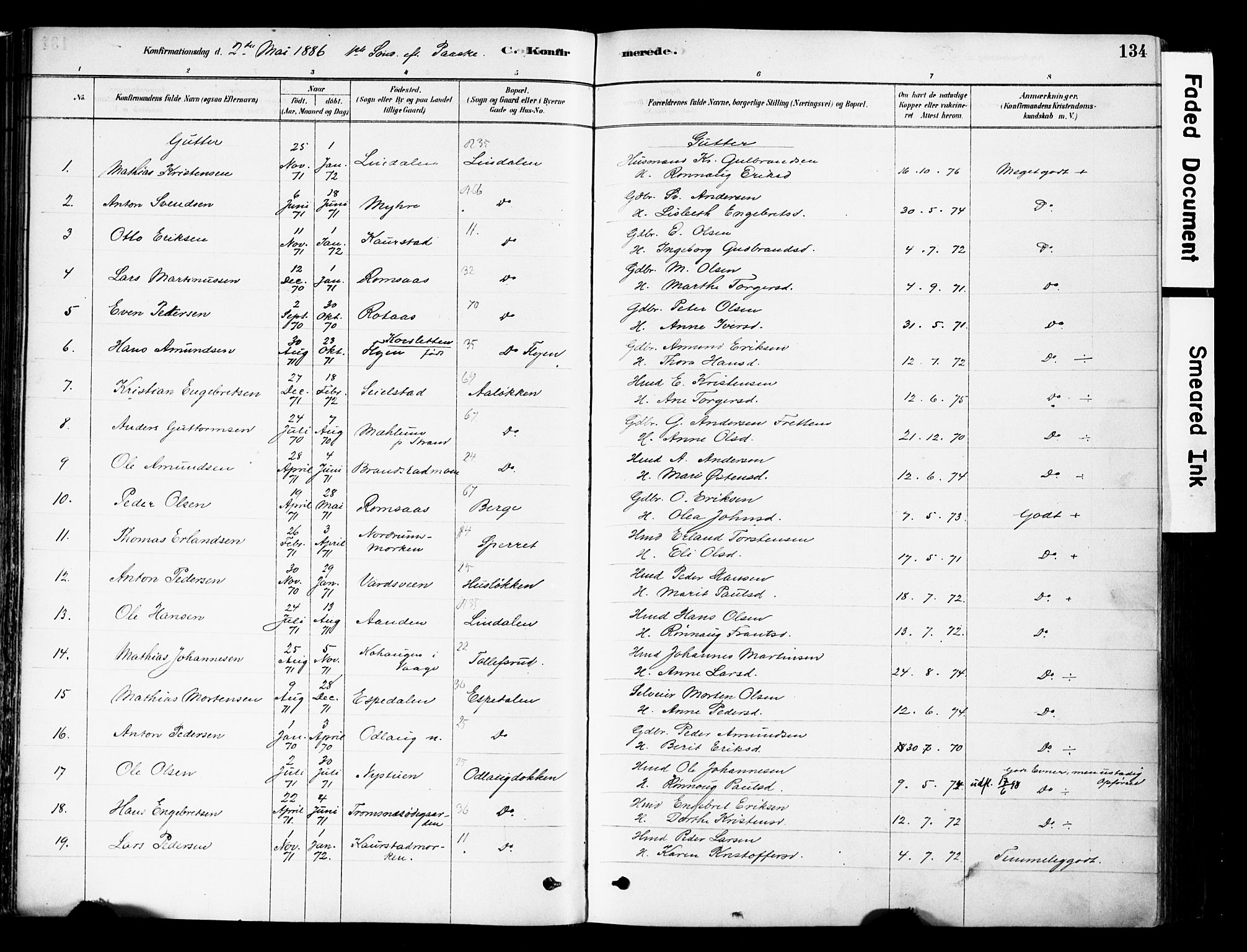 Ringebu prestekontor, SAH/PREST-082/H/Ha/Haa/L0008: Parish register (official) no. 8, 1878-1898, p. 134