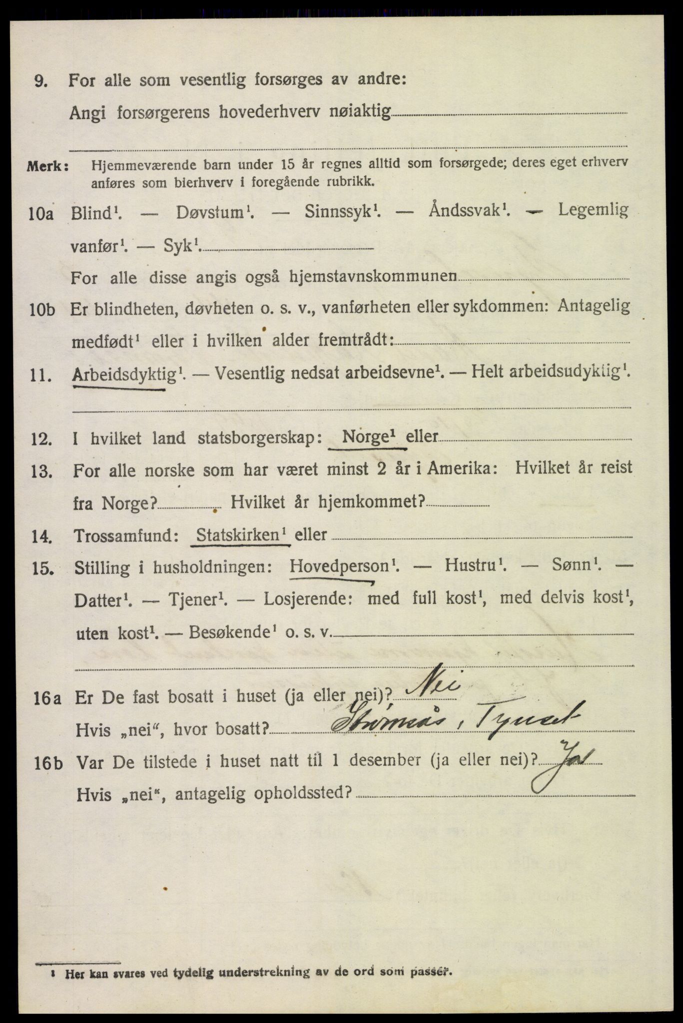 SAH, 1920 census for Tynset, 1920, p. 5221