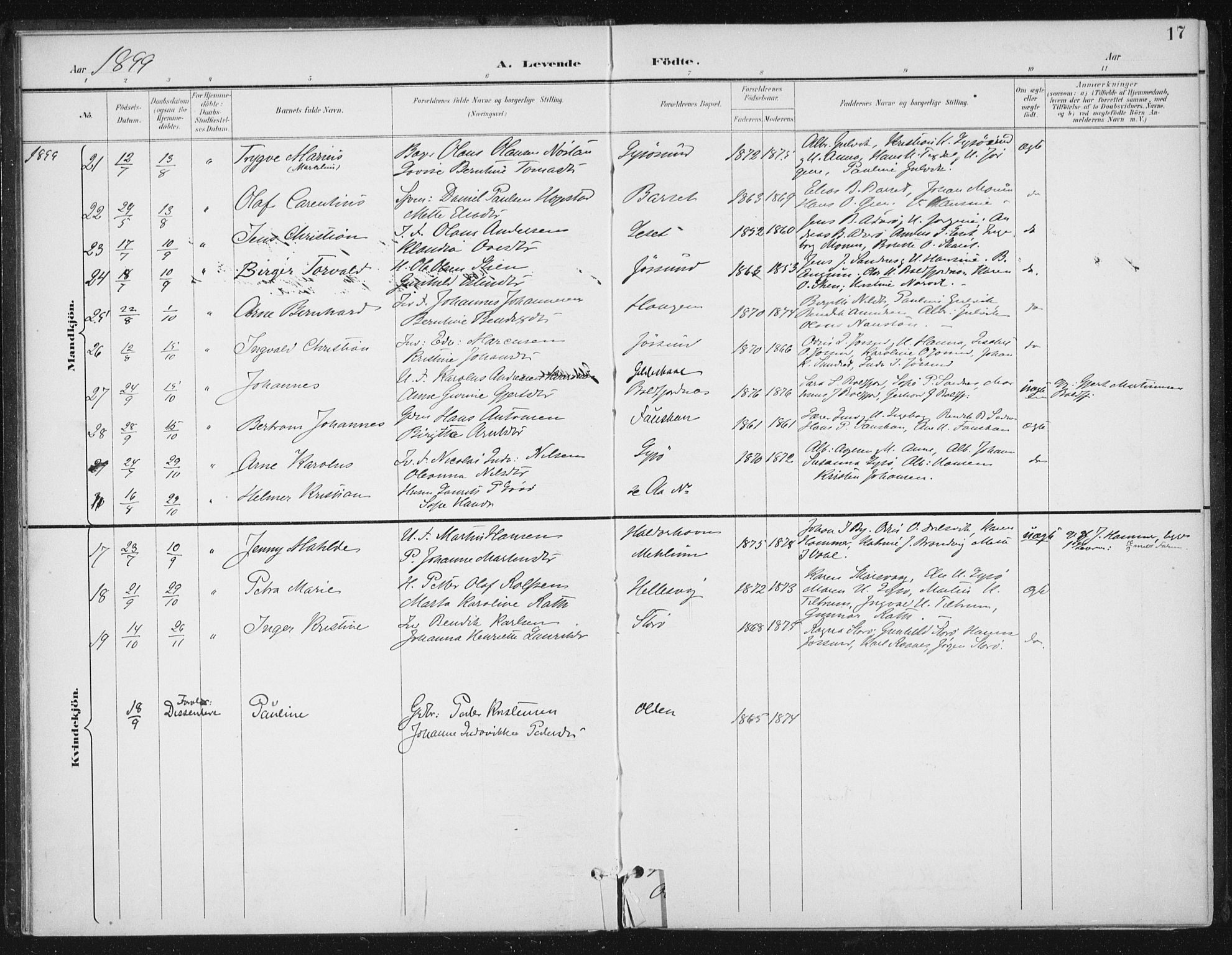 Ministerialprotokoller, klokkerbøker og fødselsregistre - Sør-Trøndelag, SAT/A-1456/654/L0664: Parish register (official) no. 654A02, 1895-1907, p. 17