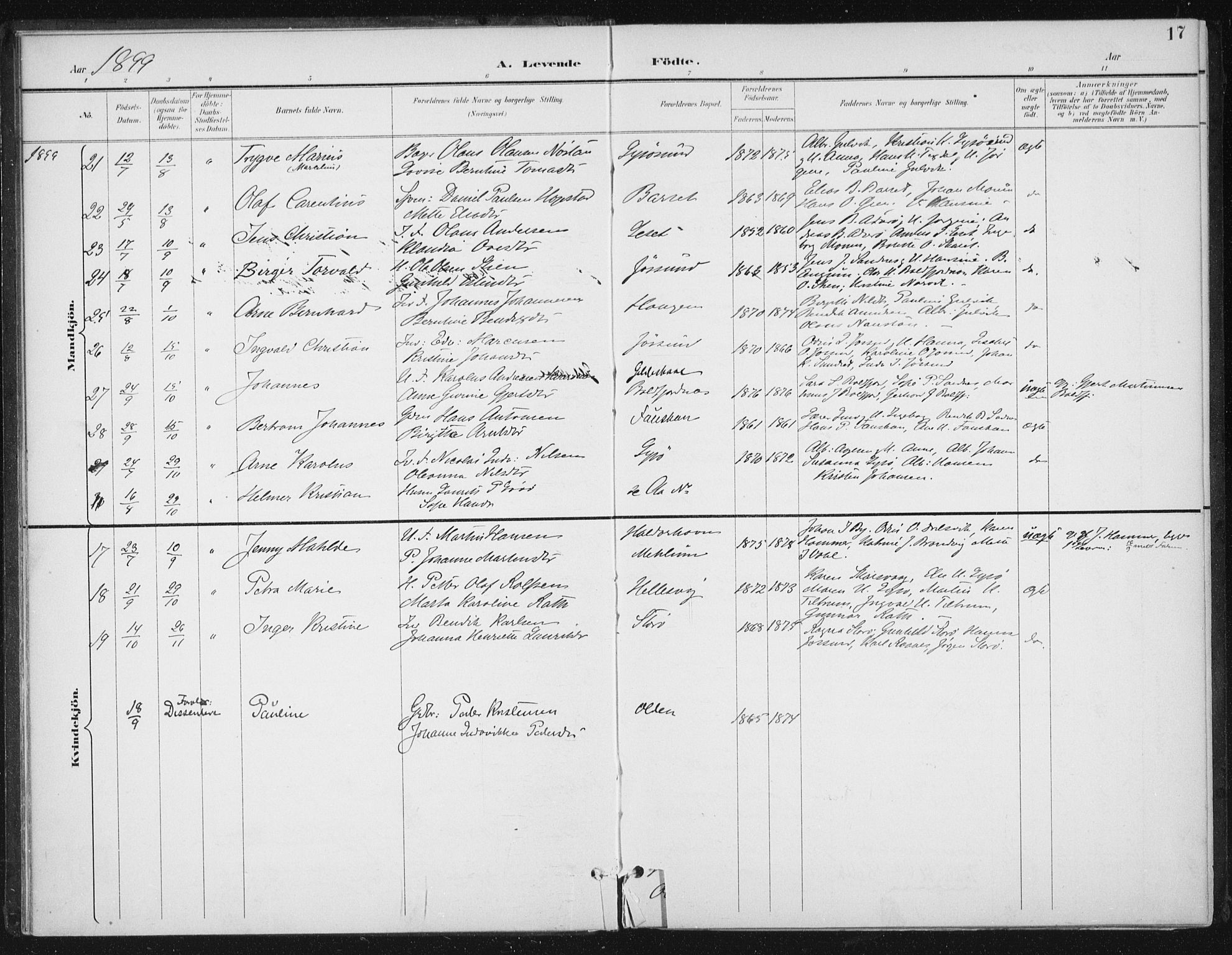 Ministerialprotokoller, klokkerbøker og fødselsregistre - Sør-Trøndelag, AV/SAT-A-1456/654/L0664: Parish register (official) no. 654A02, 1895-1907, p. 17