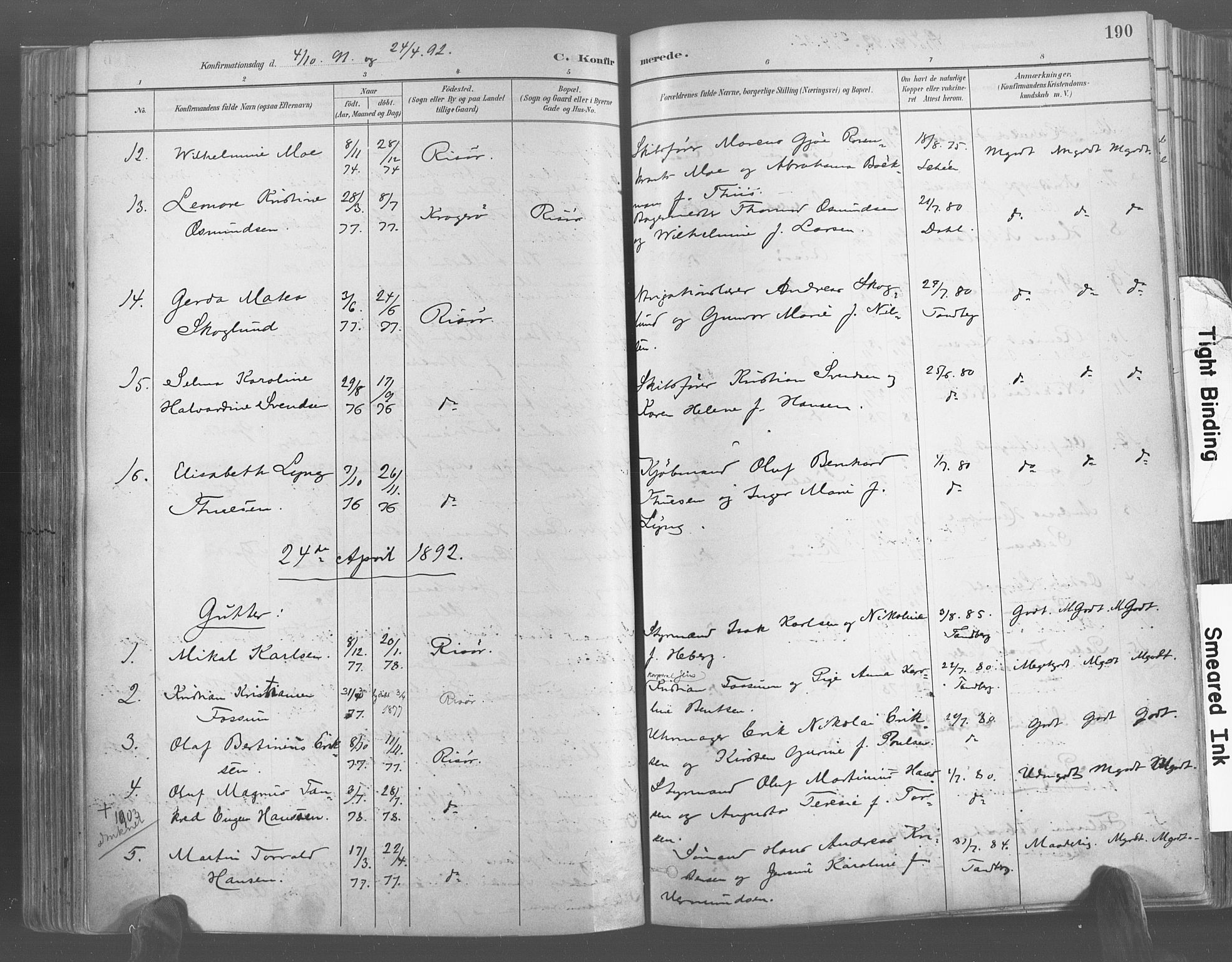 Risør sokneprestkontor, AV/SAK-1111-0035/F/Fa/L0005: Parish register (official) no. A 5, 1883-1895, p. 191