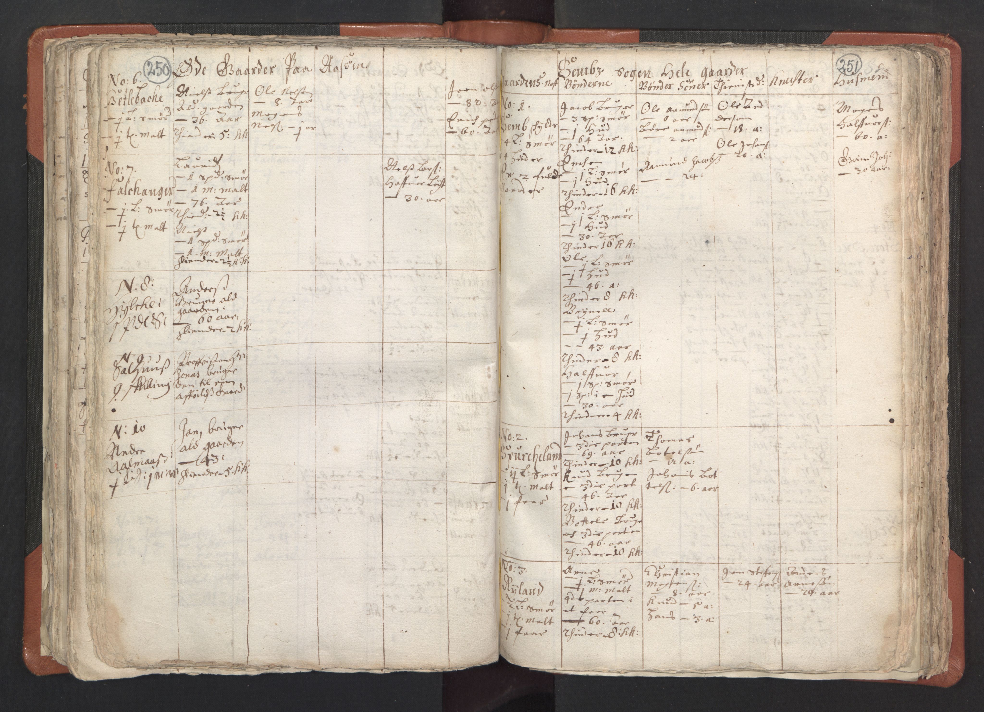 RA, Vicar's Census 1664-1666, no. 22: Nordhordland deanery, 1664-1666, p. 250-251