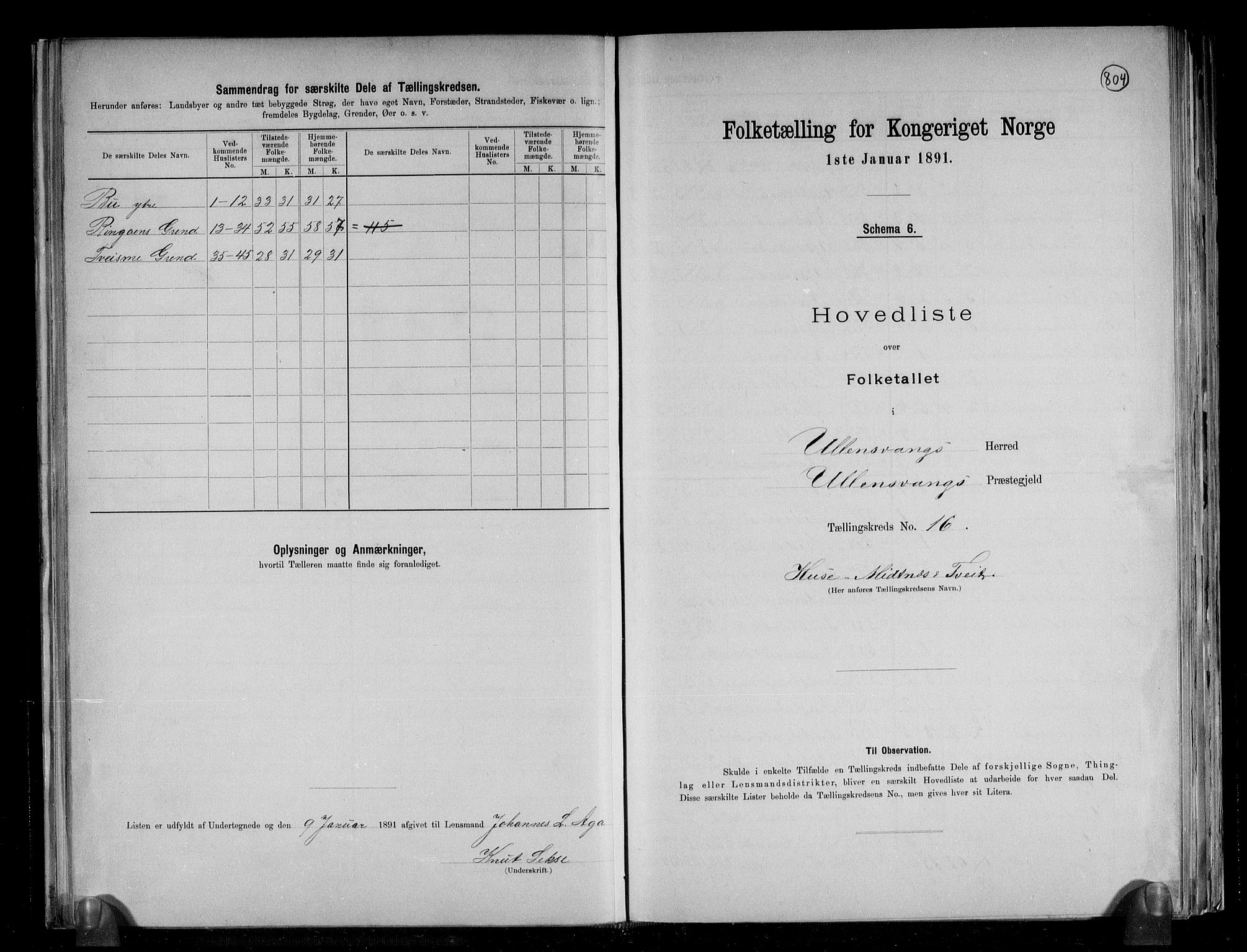 RA, 1891 census for 1230 Ullensvang, 1891, p. 41