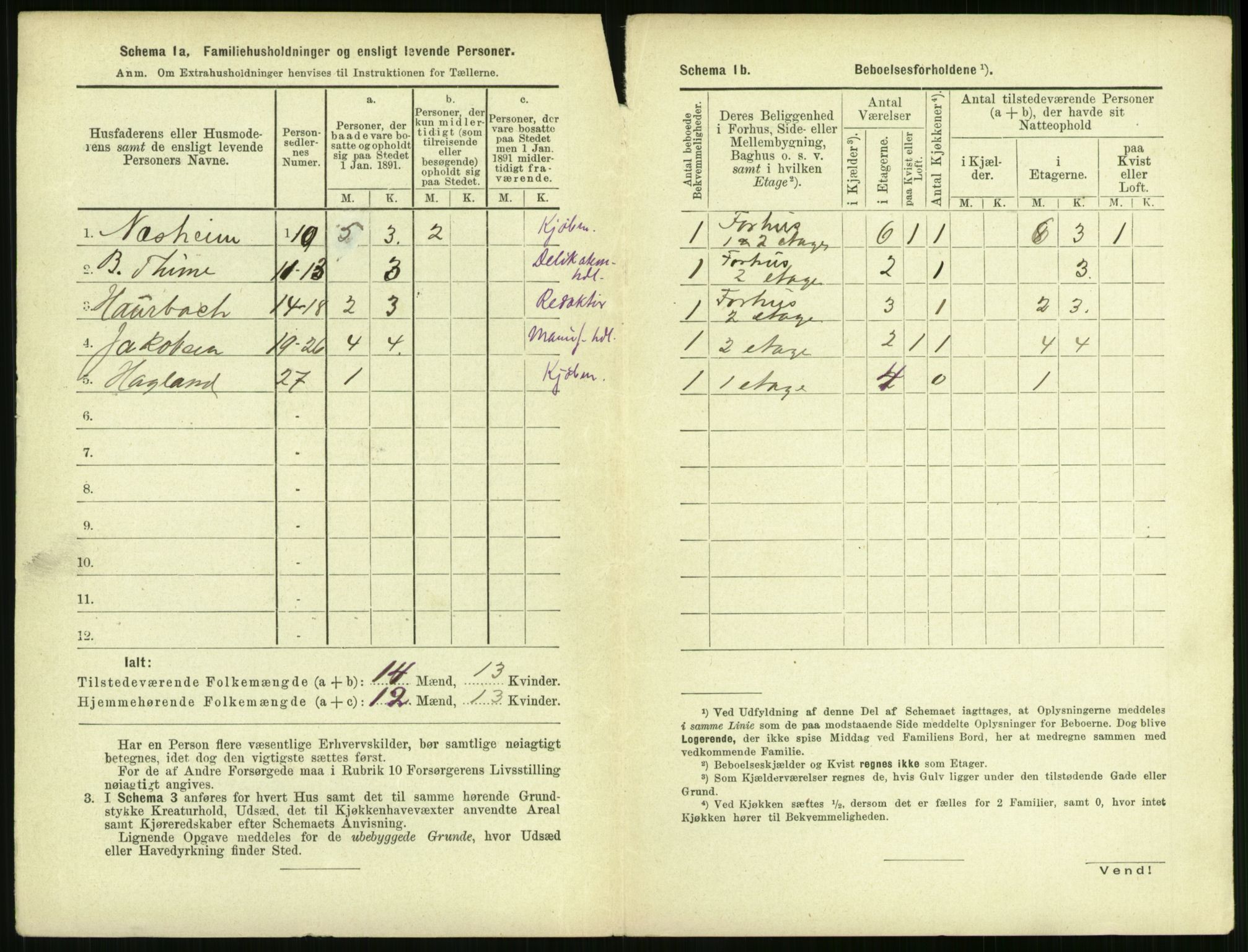 RA, 1891 census for 1106 Haugesund, 1891, p. 218