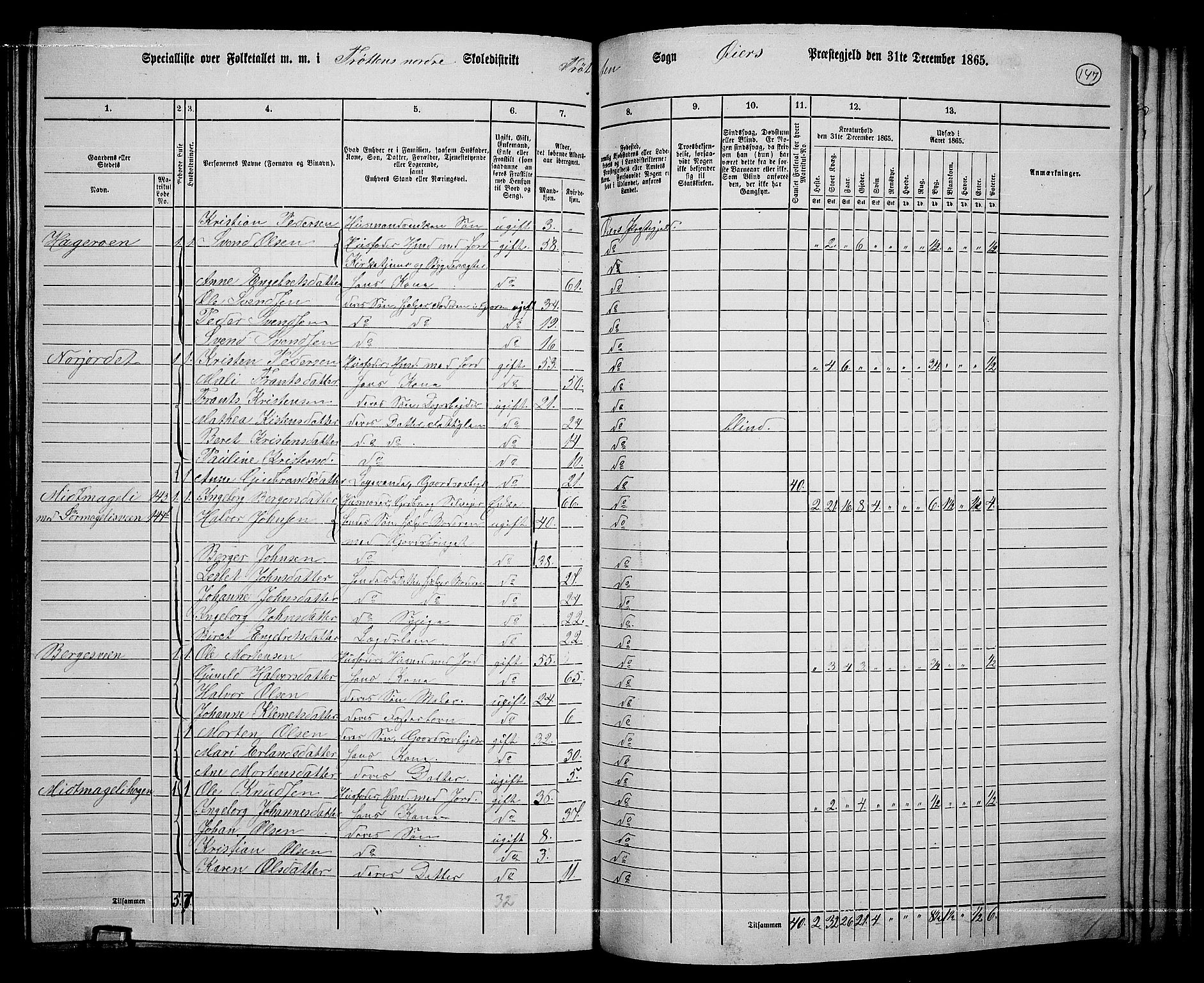 RA, 1865 census for Øyer, 1865, p. 133