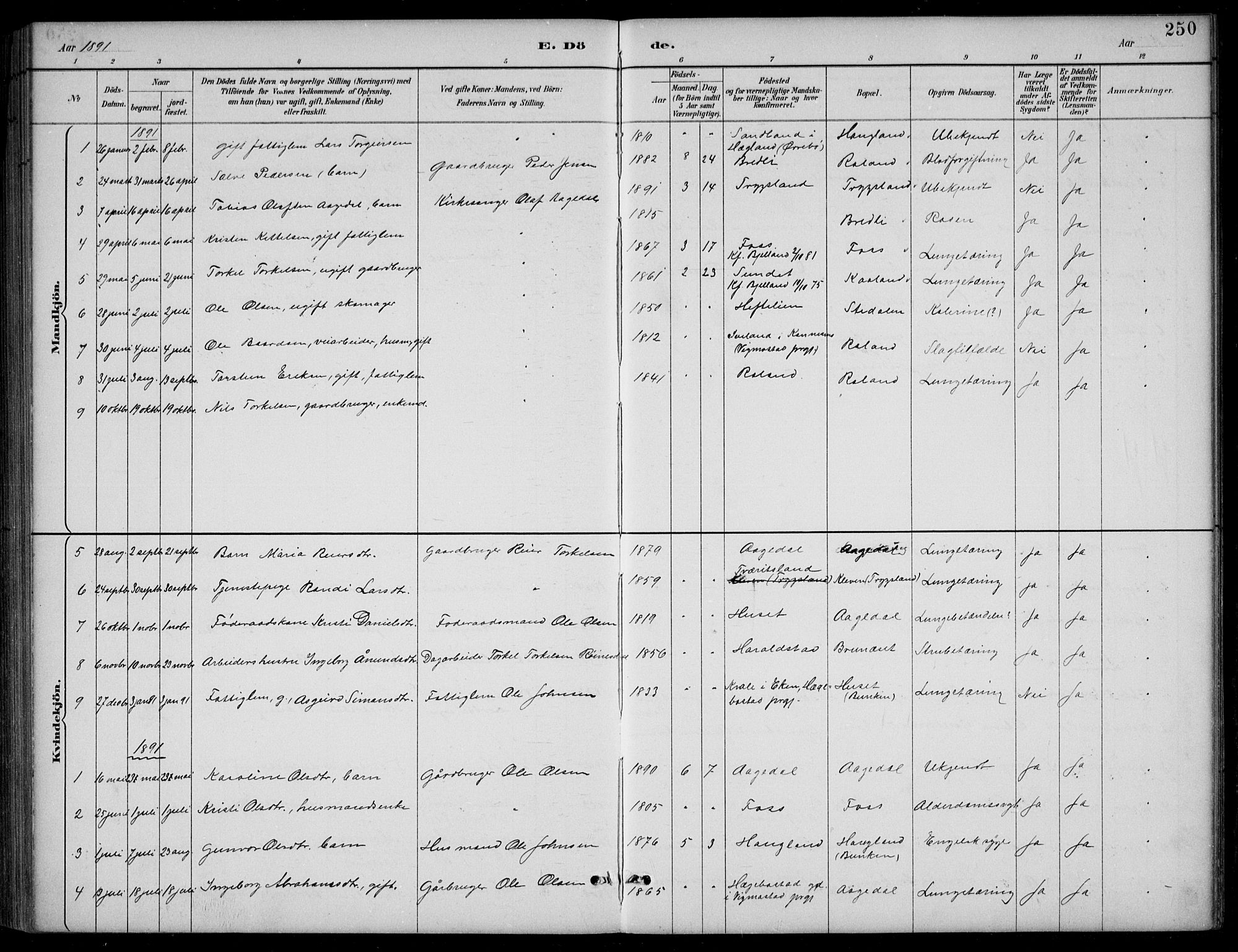Bjelland sokneprestkontor, SAK/1111-0005/F/Fb/Fba/L0005: Parish register (copy) no. B 5, 1887-1923, p. 250