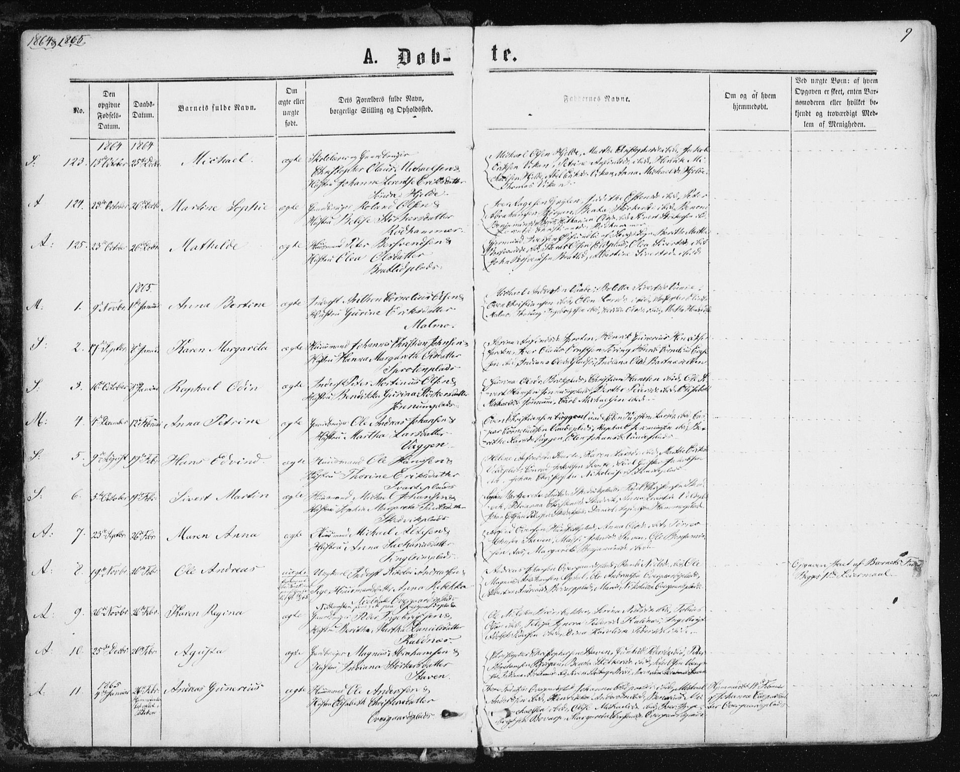 Ministerialprotokoller, klokkerbøker og fødselsregistre - Nord-Trøndelag, AV/SAT-A-1458/741/L0394: Parish register (official) no. 741A08, 1864-1877, p. 9