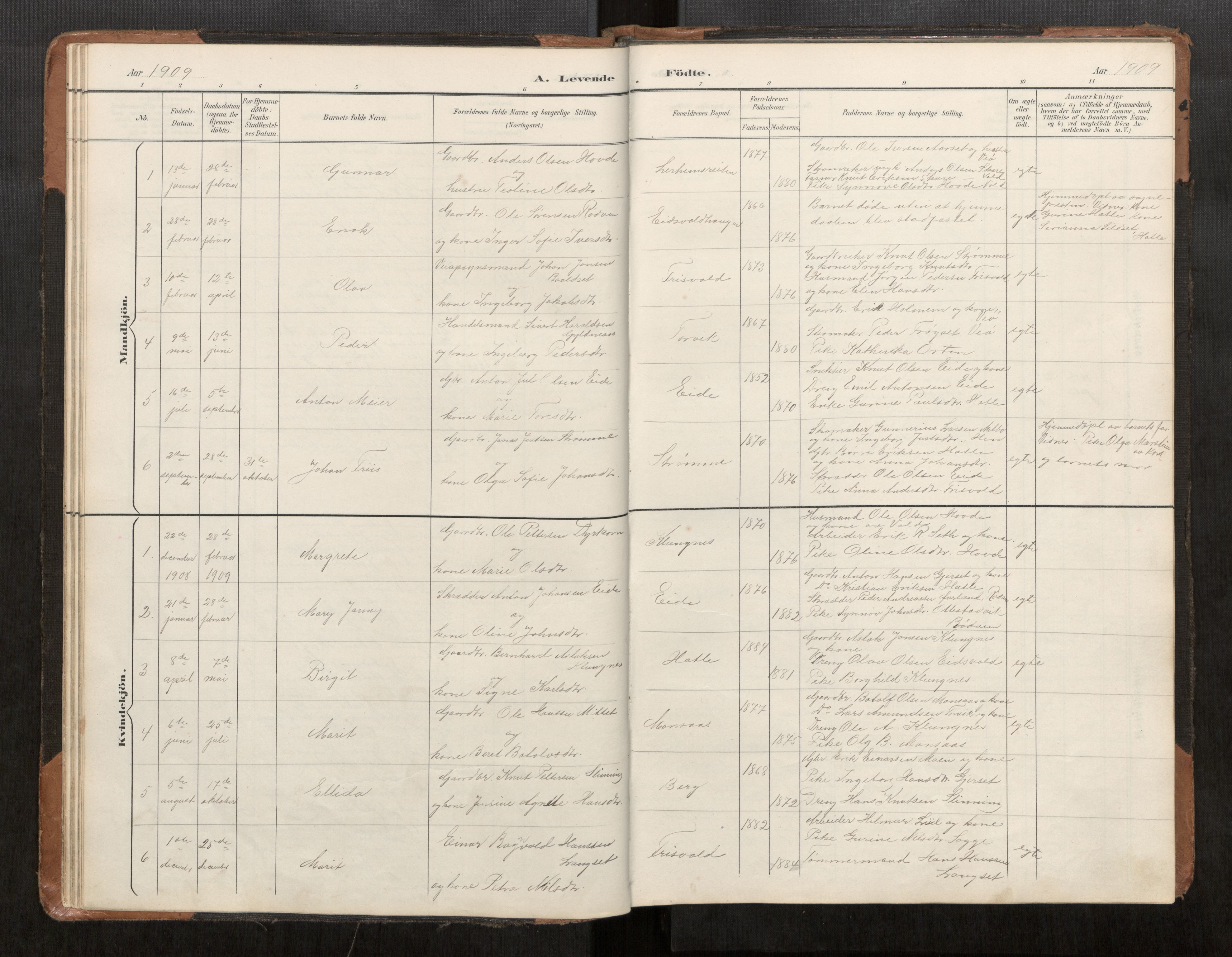 Ministerialprotokoller, klokkerbøker og fødselsregistre - Møre og Romsdal, AV/SAT-A-1454/542/L0561: Parish register (copy) no. 542C03, 1893-1931