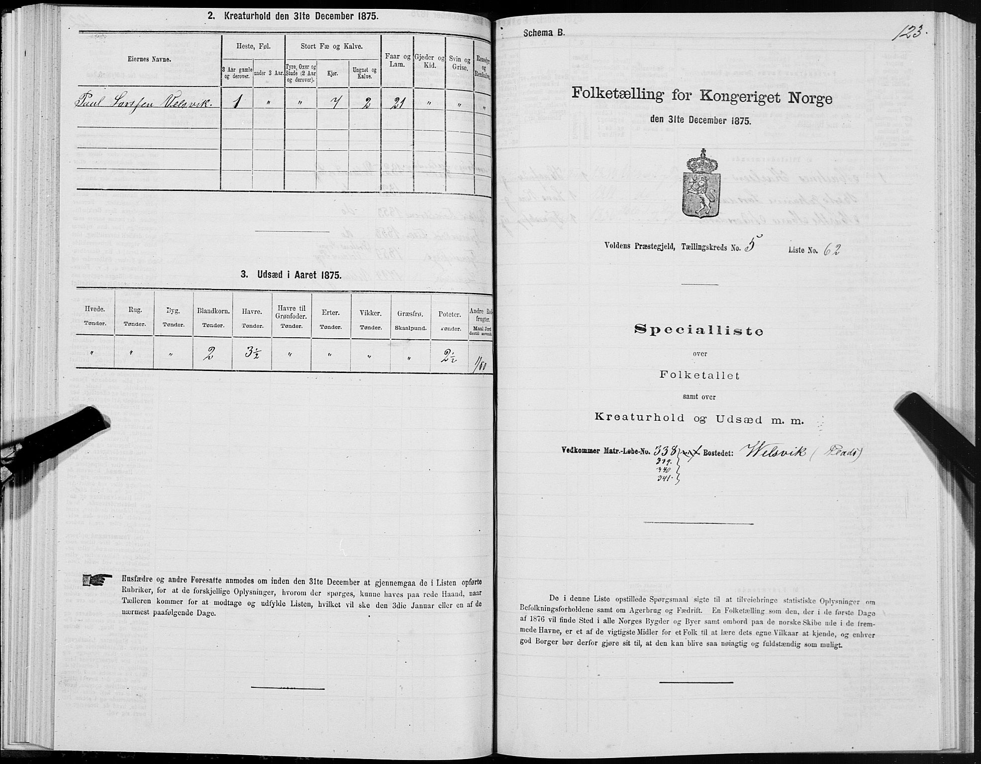 SAT, 1875 census for 1519P Volda, 1875, p. 4123