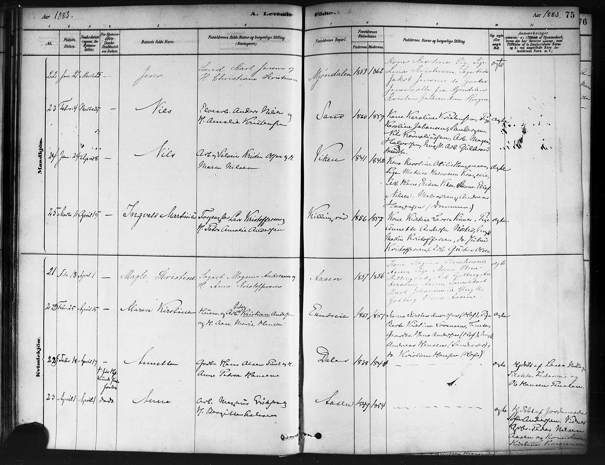 Nedre Eiker kirkebøker, AV/SAKO-A-612/F/Fa/L0002: Parish register (official) no. 2, 1878-1885, p. 75