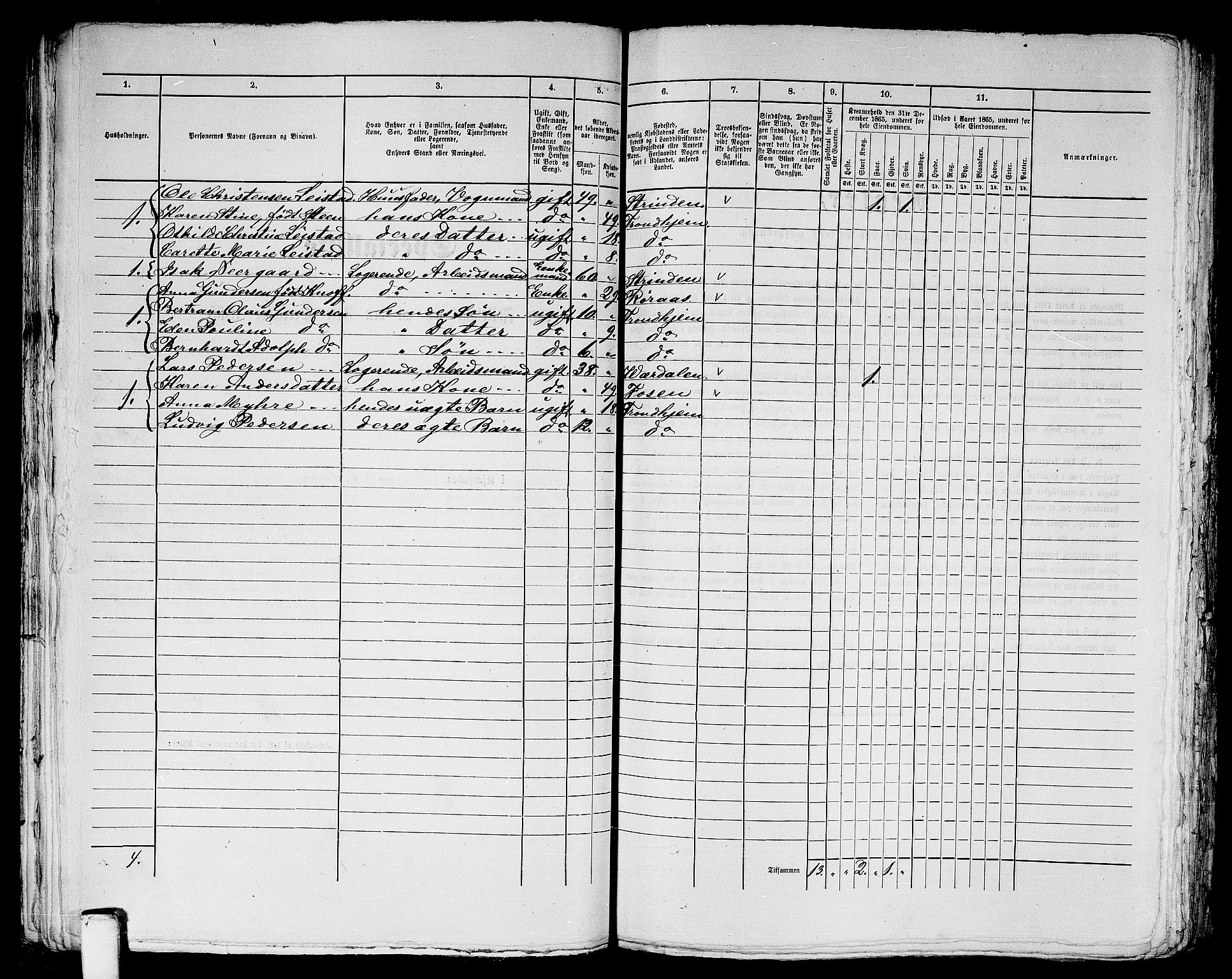 RA, 1865 census for Trondheim, 1865, p. 1245