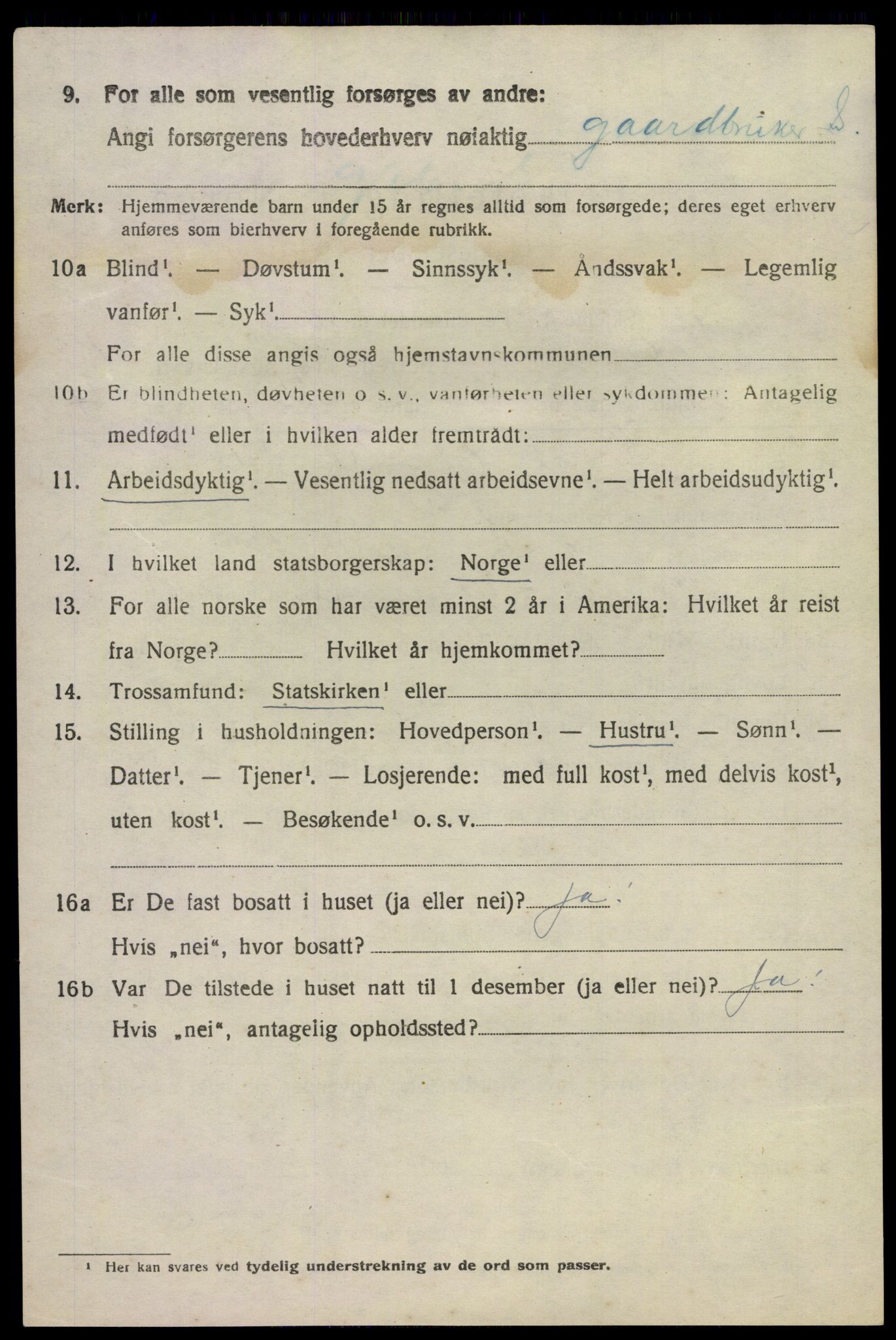 SAKO, 1920 census for Hovin, 1920, p. 1458