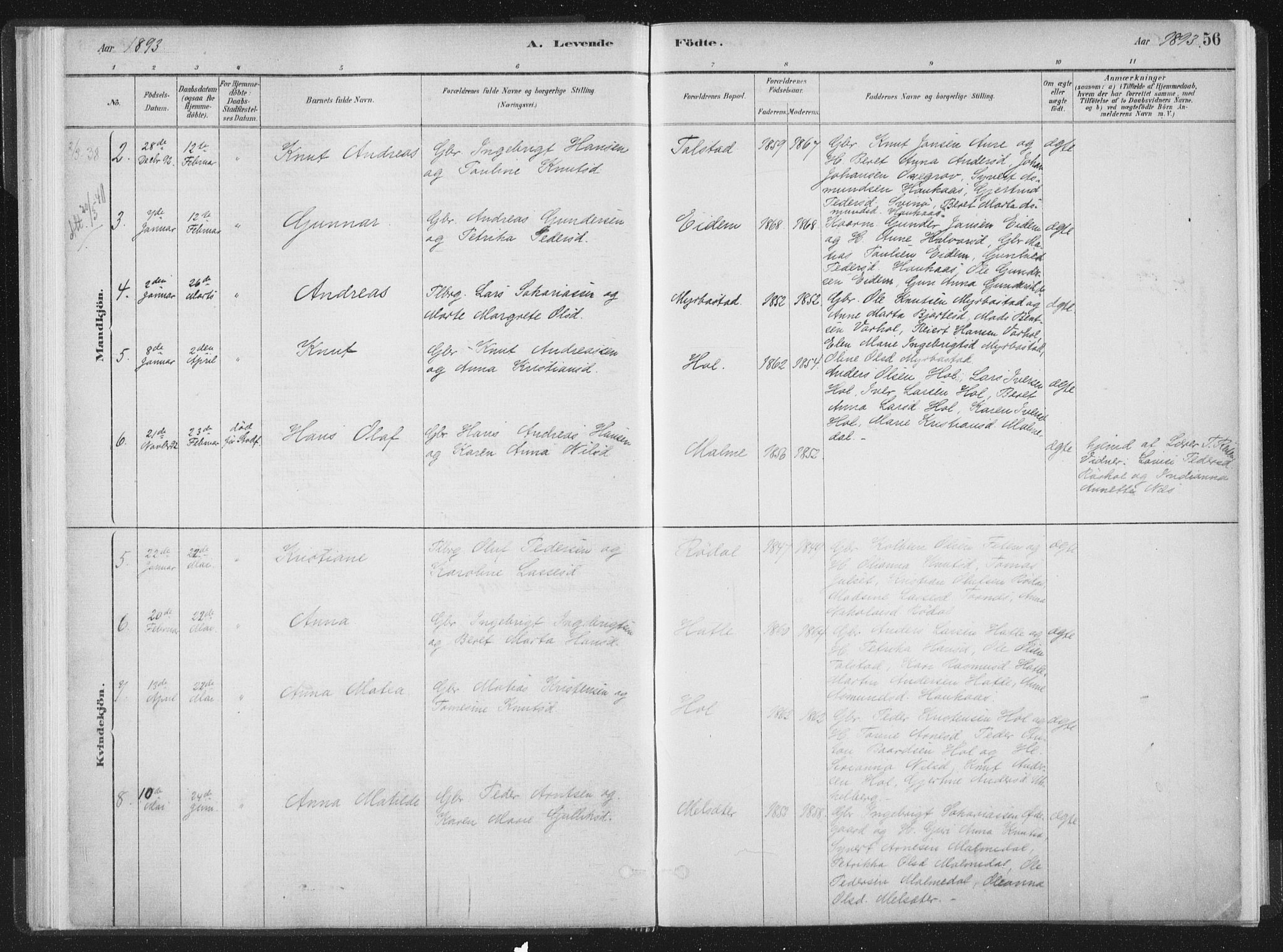 Ministerialprotokoller, klokkerbøker og fødselsregistre - Møre og Romsdal, AV/SAT-A-1454/564/L0740: Parish register (official) no. 564A01, 1880-1899, p. 56