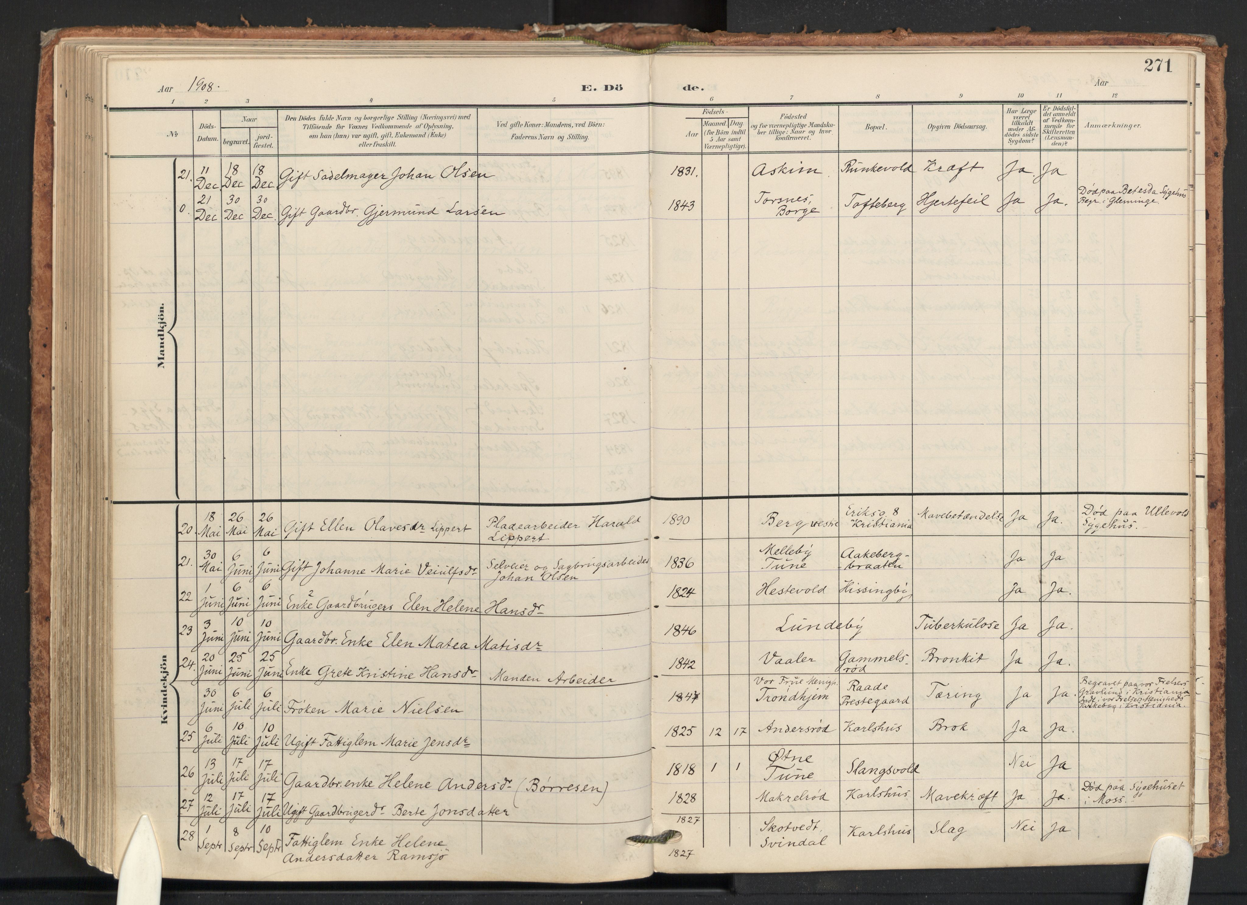 Råde prestekontor kirkebøker, SAO/A-2009/F/Fa/L0008: Parish register (official) no. 8, 1903-1924, p. 271