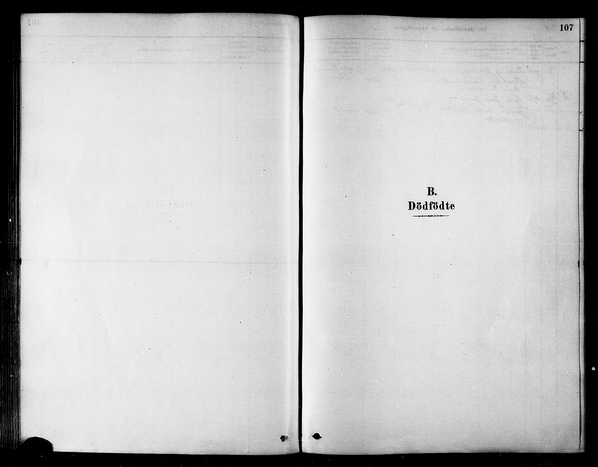 Alta sokneprestkontor, SATØ/S-1338/H/Ha/L0002.kirke: Parish register (official) no. 2, 1879-1892, p. 107
