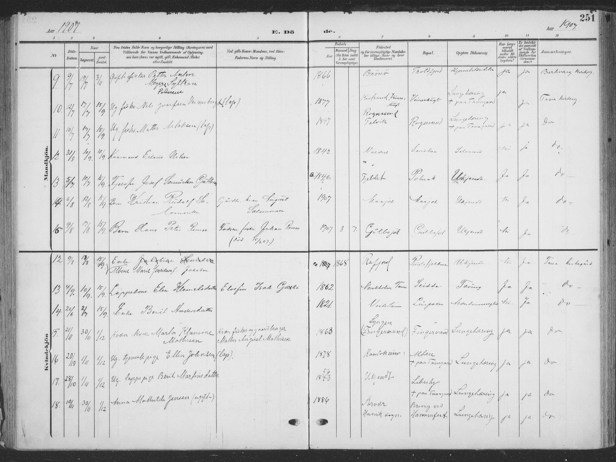 Tana sokneprestkontor, AV/SATØ-S-1334/H/Ha/L0007kirke: Parish register (official) no. 7, 1904-1918, p. 251