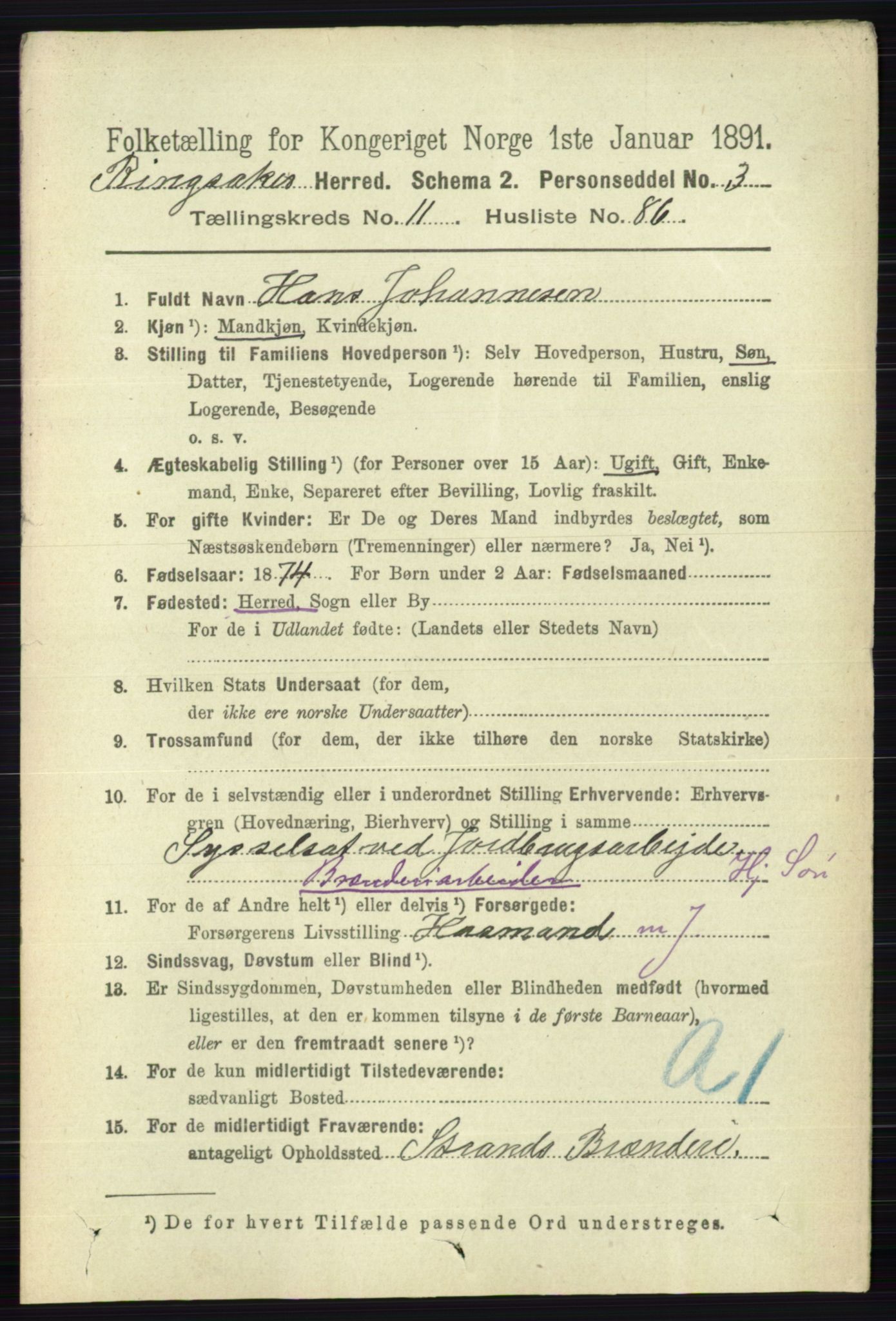 RA, 1891 census for 0412 Ringsaker, 1891, p. 6691