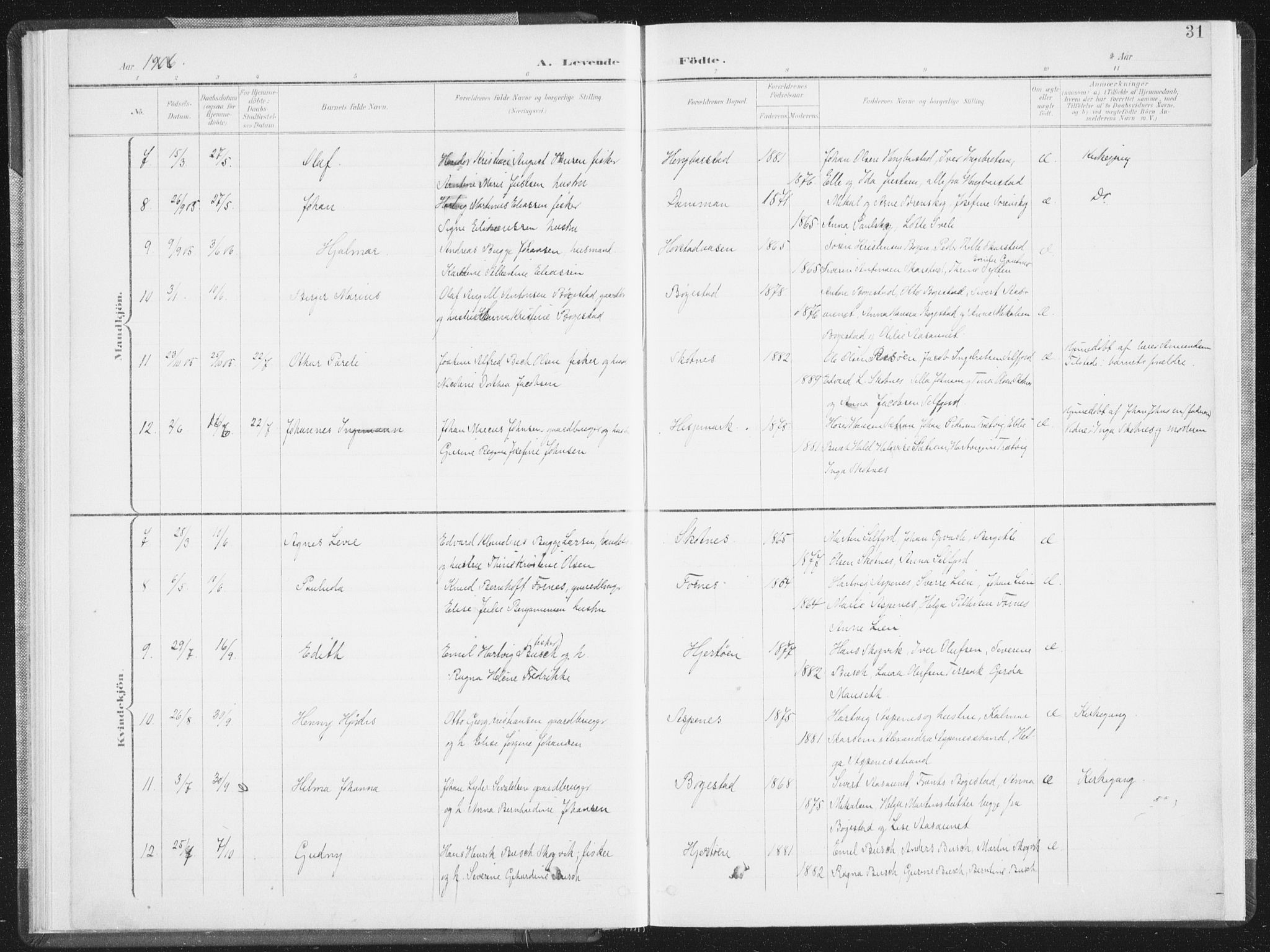 Ministerialprotokoller, klokkerbøker og fødselsregistre - Nordland, AV/SAT-A-1459/810/L0153: Parish register (official) no. 810A12, 1899-1914, p. 31