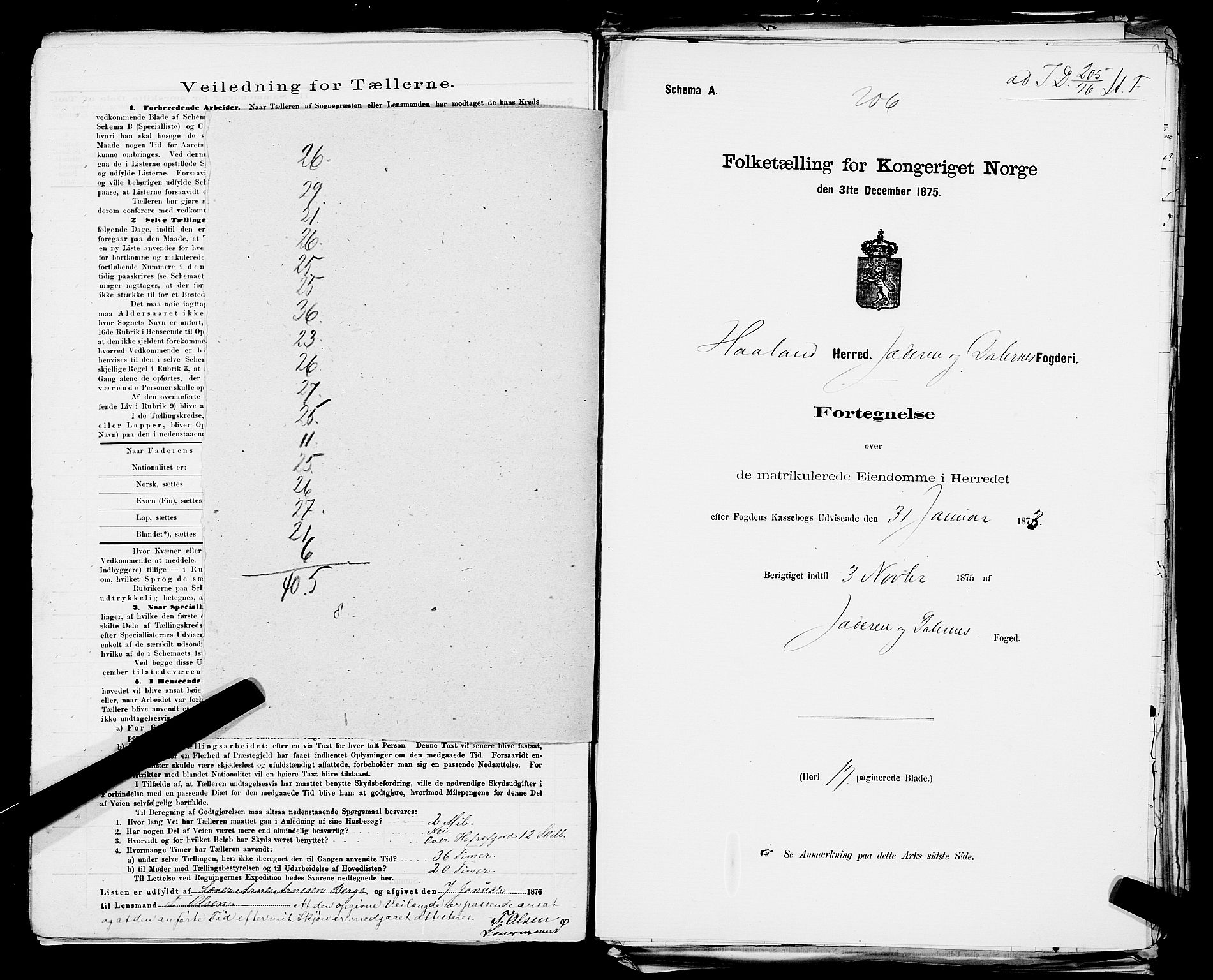 SAST, 1875 census for 1124P Håland, 1875, p. 30