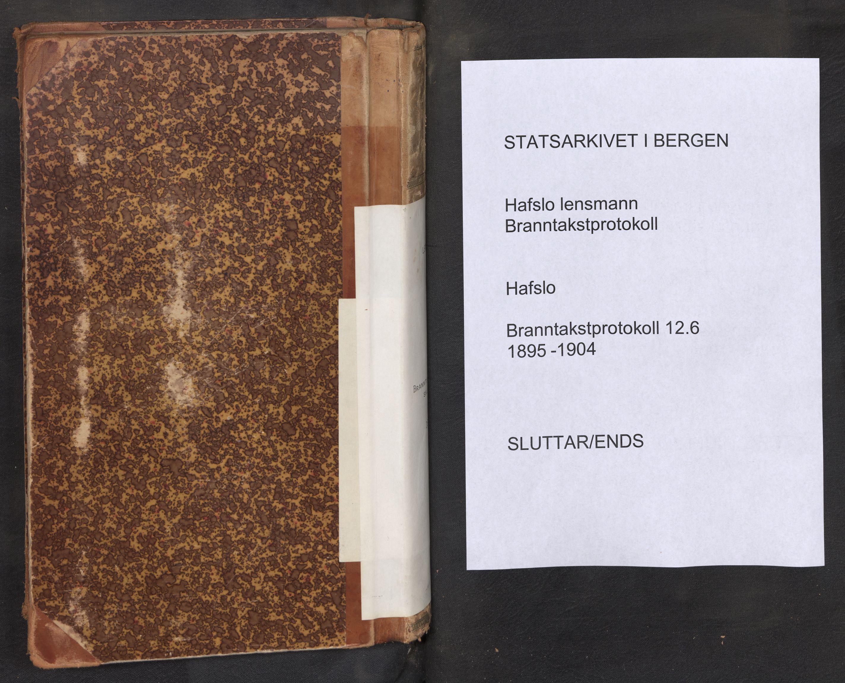 Lensmannen i Hafslo, AV/SAB-A-28001/0012/L0006: Branntakstprotokoll, skjematakst, 1895-1904