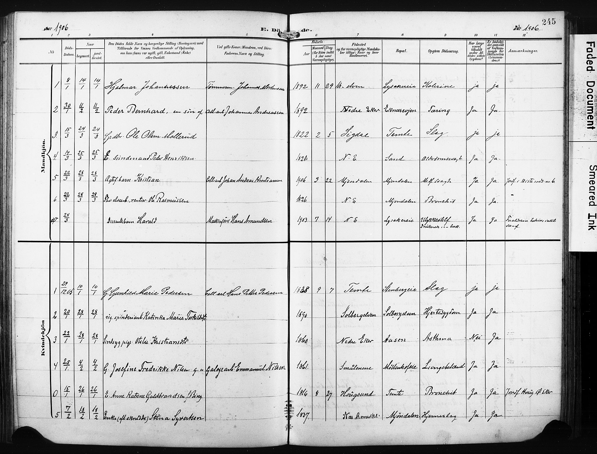 Nedre Eiker kirkebøker, SAKO/A-612/F/Fa/L0006: Parish register (official) no. 6, 1906-1912, p. 245