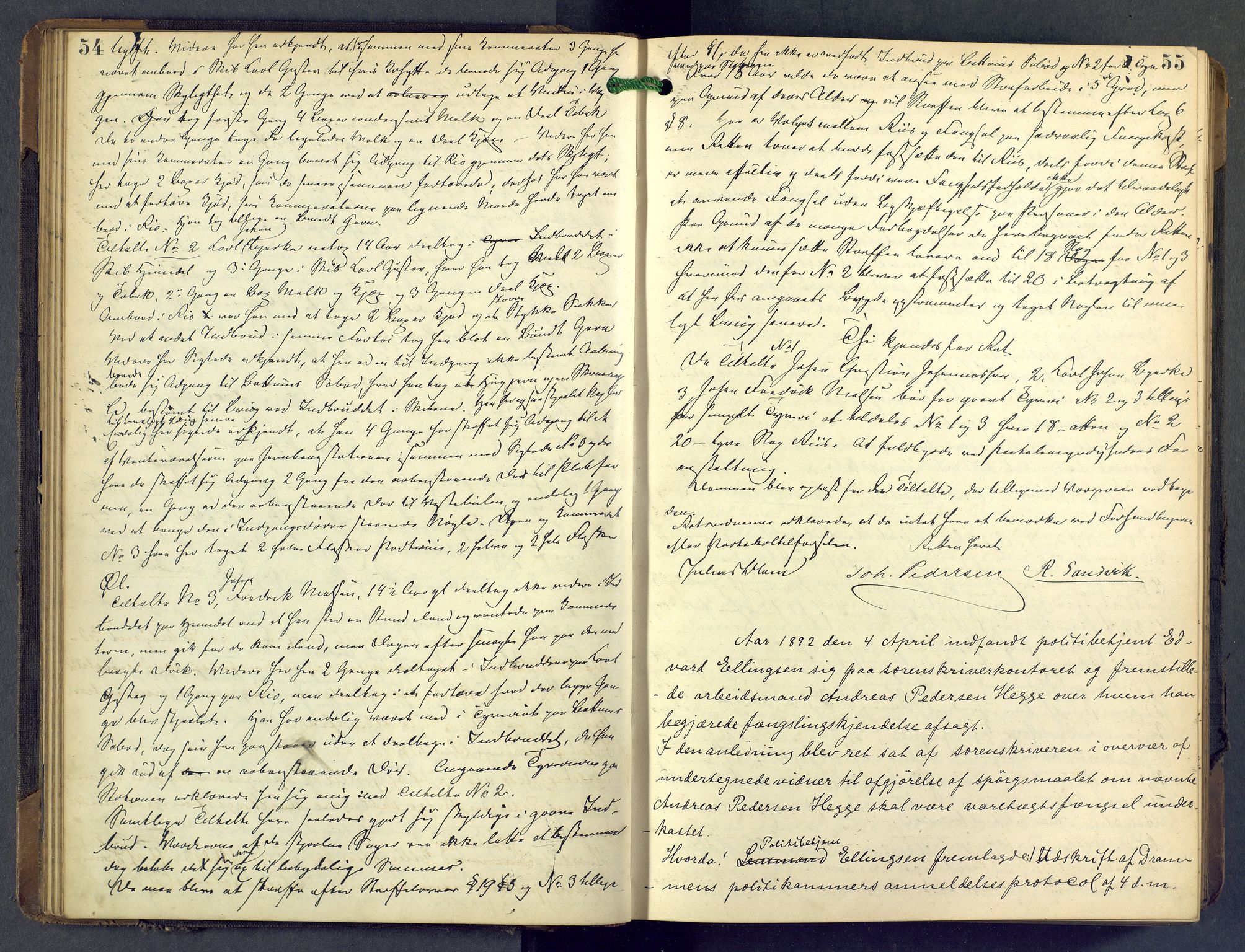 Nordre Jarlsberg sorenskriveri, AV/SAKO-A-80/F/Fb/Fba/L0028: Ekstrarettsprotokoll, 1891-1897, p. 54-55