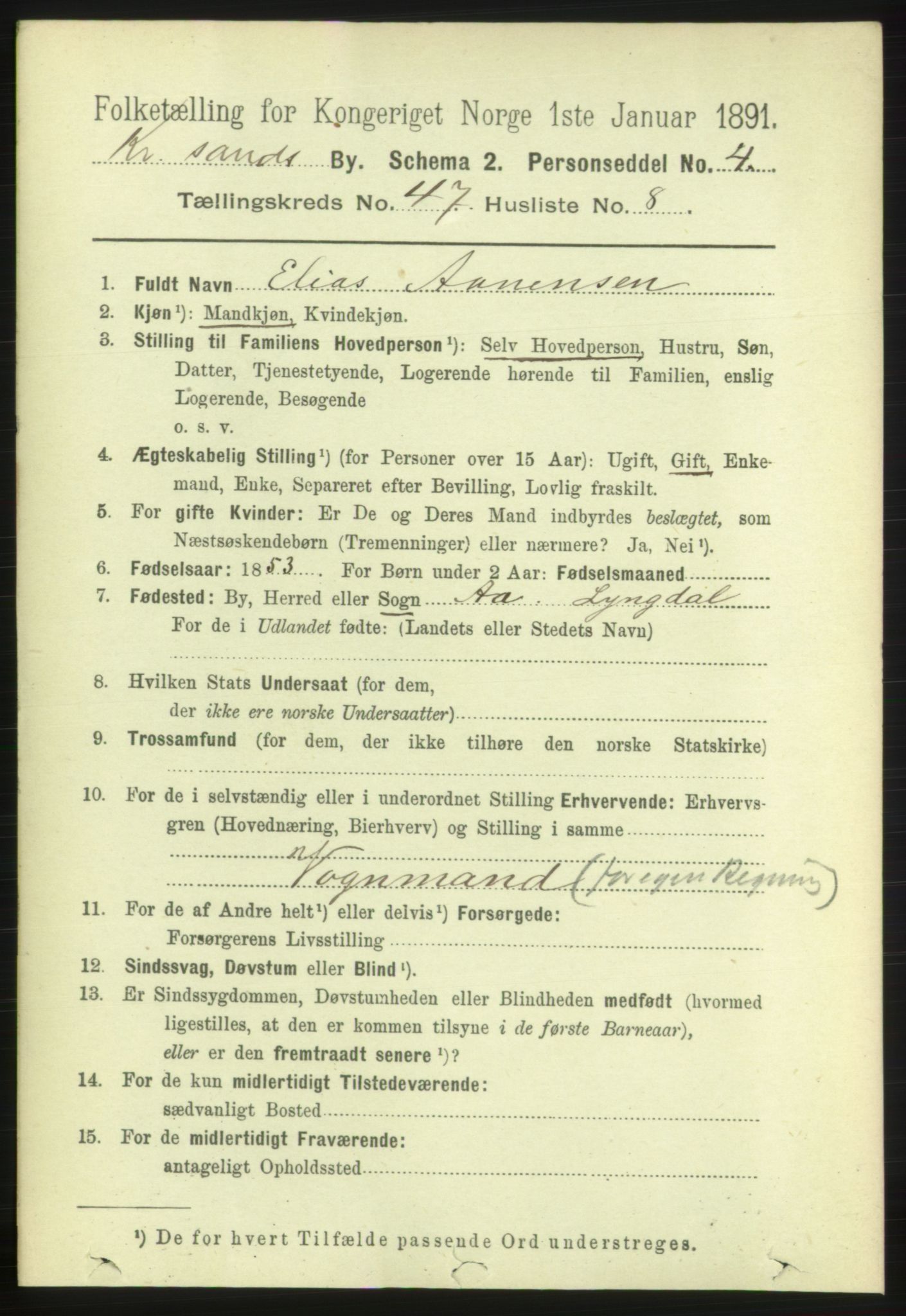 RA, 1891 census for 1001 Kristiansand, 1891, p. 14668