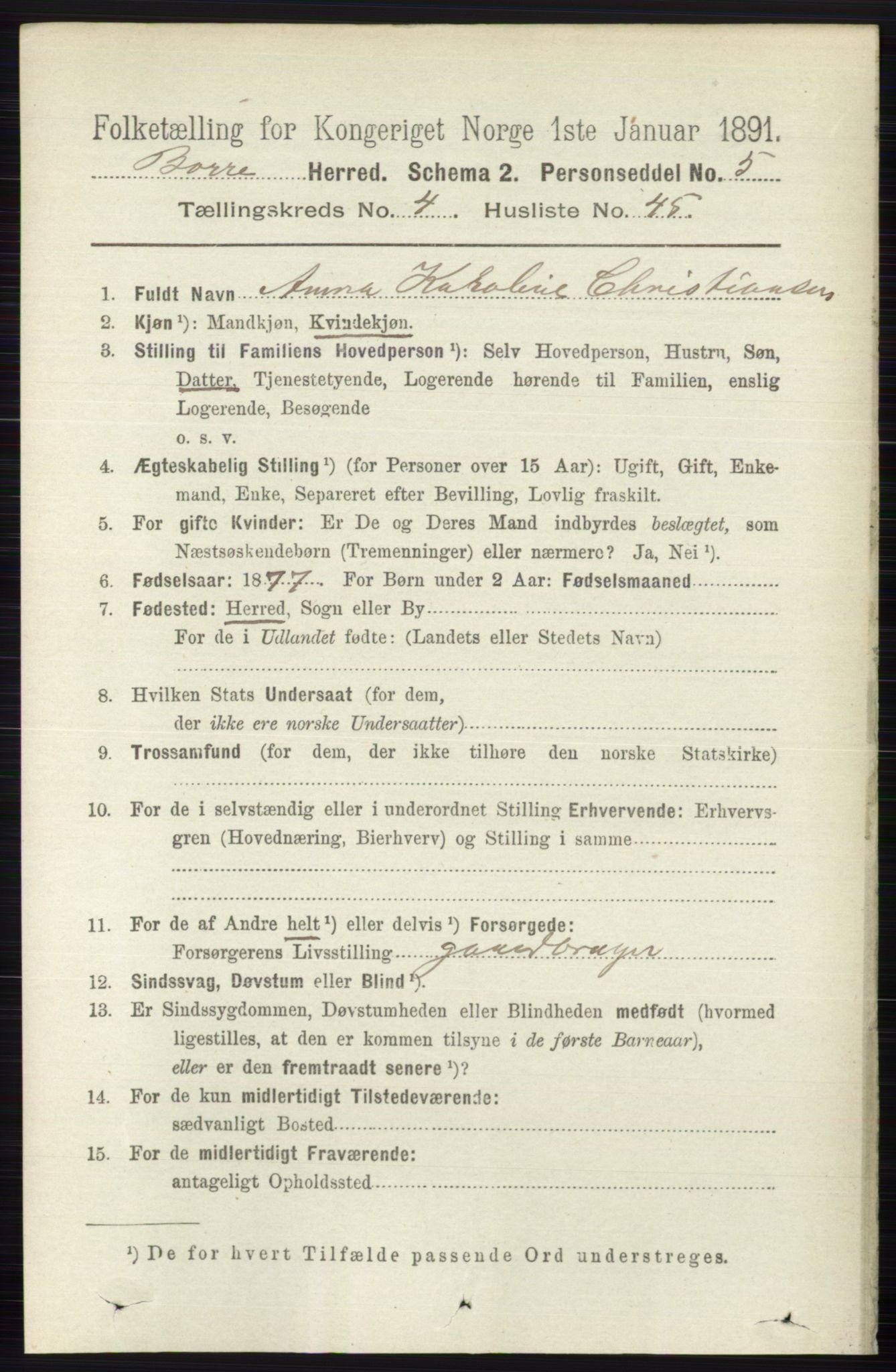 RA, 1891 census for 0717 Borre, 1891, p. 1909
