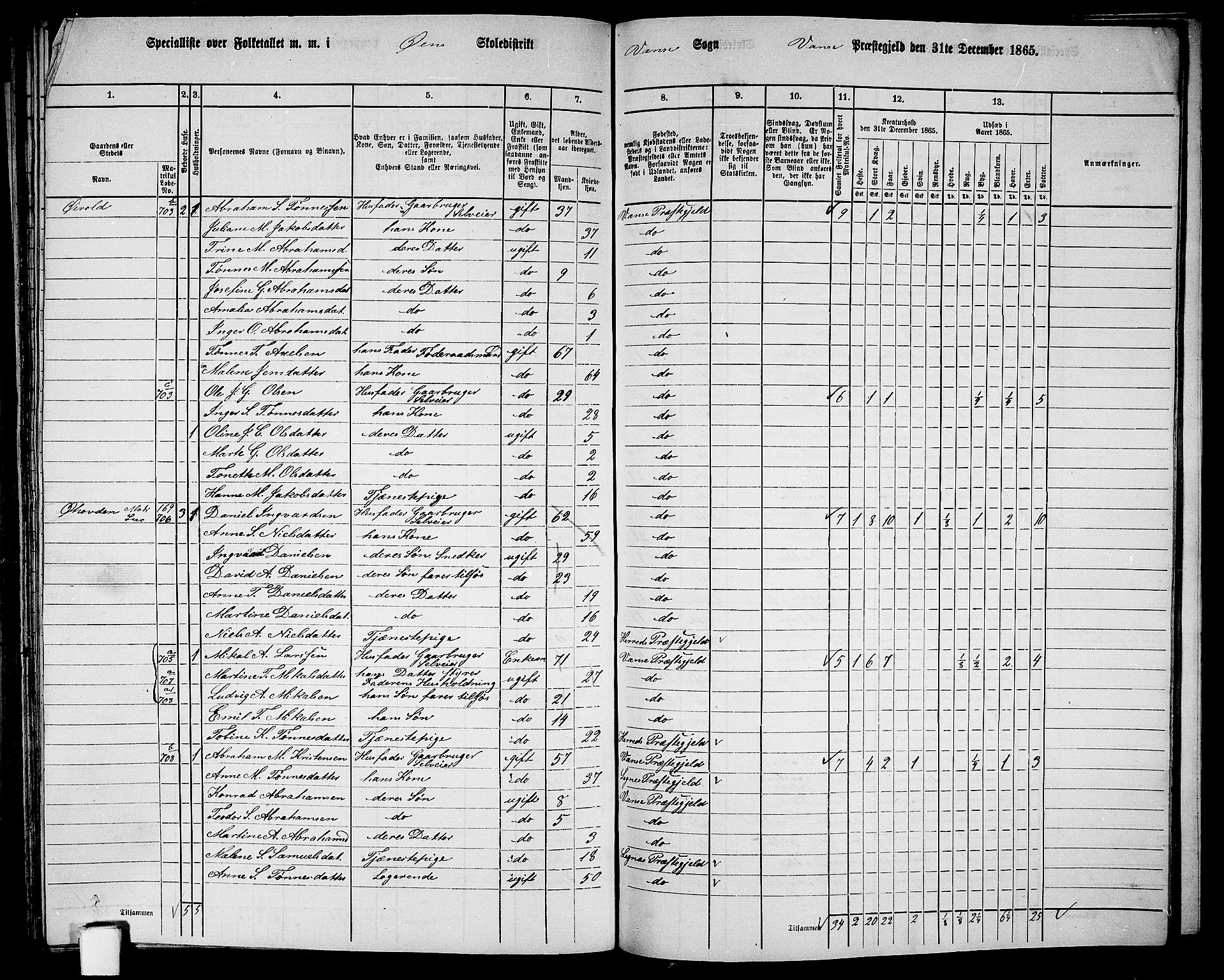 RA, 1865 census for Vanse/Vanse og Farsund, 1865, p. 250