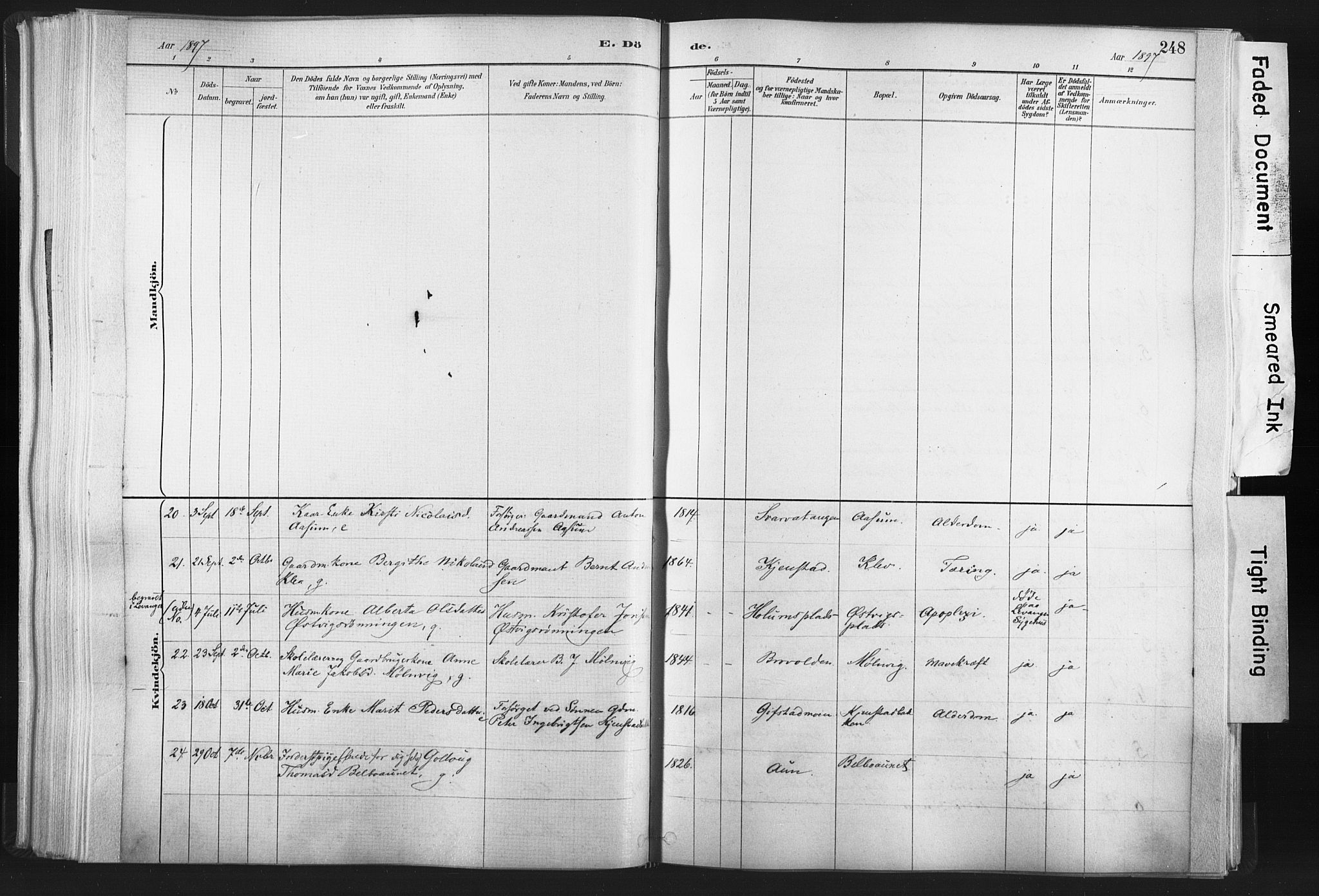 Ministerialprotokoller, klokkerbøker og fødselsregistre - Nord-Trøndelag, SAT/A-1458/749/L0474: Parish register (official) no. 749A08, 1887-1903, p. 248