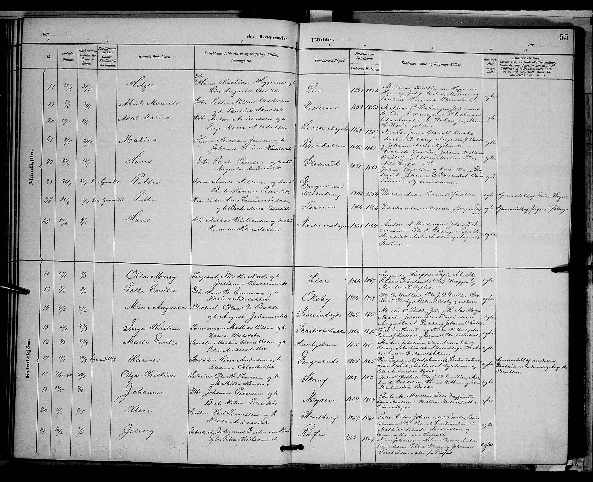 Vestre Toten prestekontor, AV/SAH-PREST-108/H/Ha/Hab/L0009: Parish register (copy) no. 9, 1888-1900, p. 55