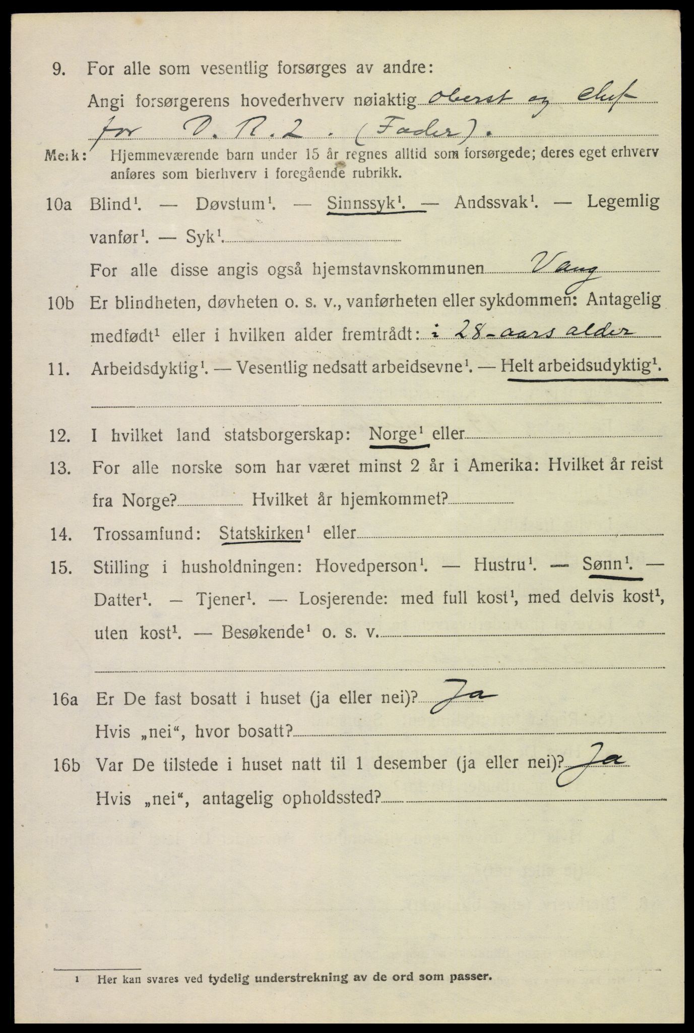 SAH, 1920 census for Vang (Hedmark), 1920, p. 9056