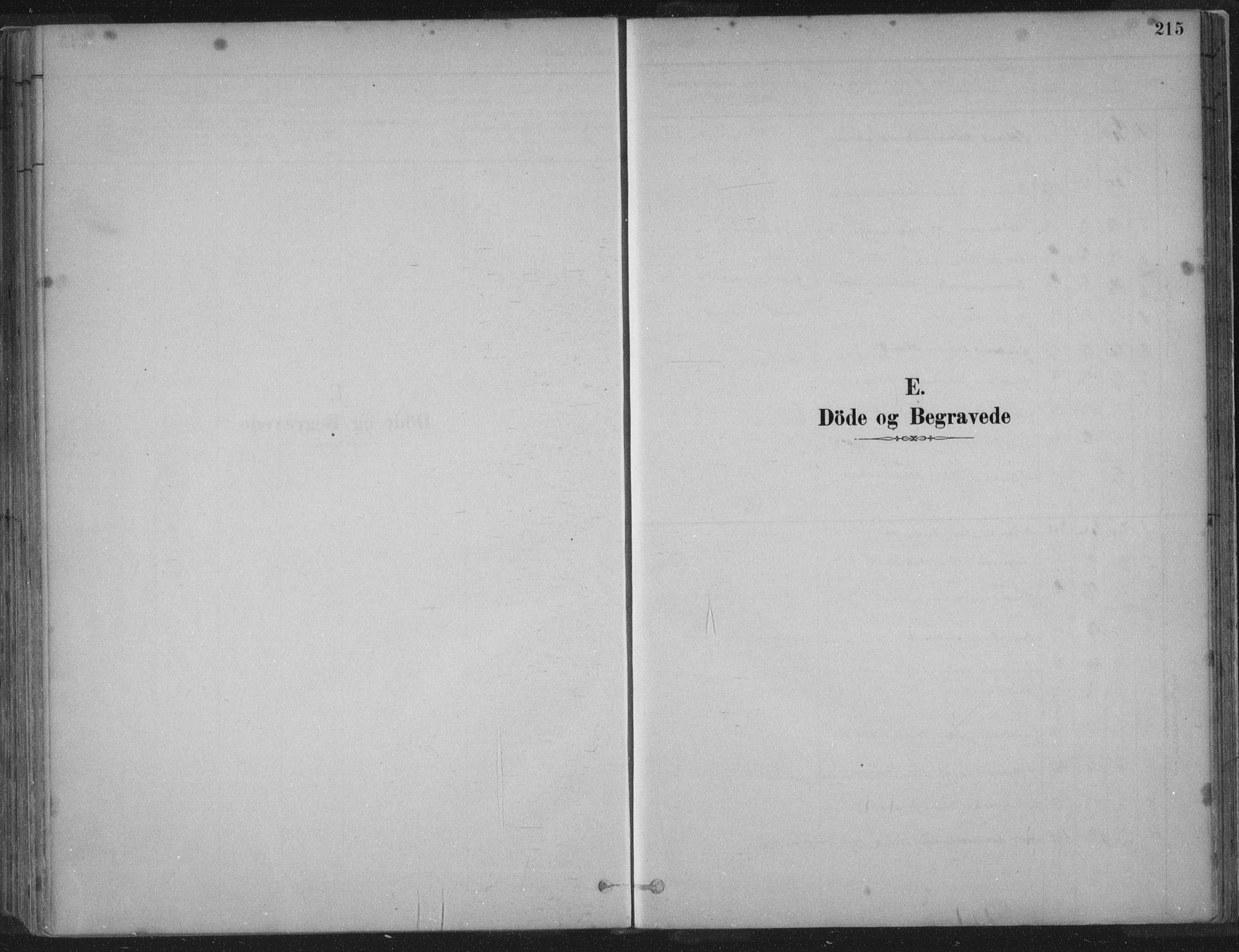 Kopervik sokneprestkontor, SAST/A-101850/H/Ha/Haa/L0004: Parish register (official) no. A 4, 1882-1905, p. 215