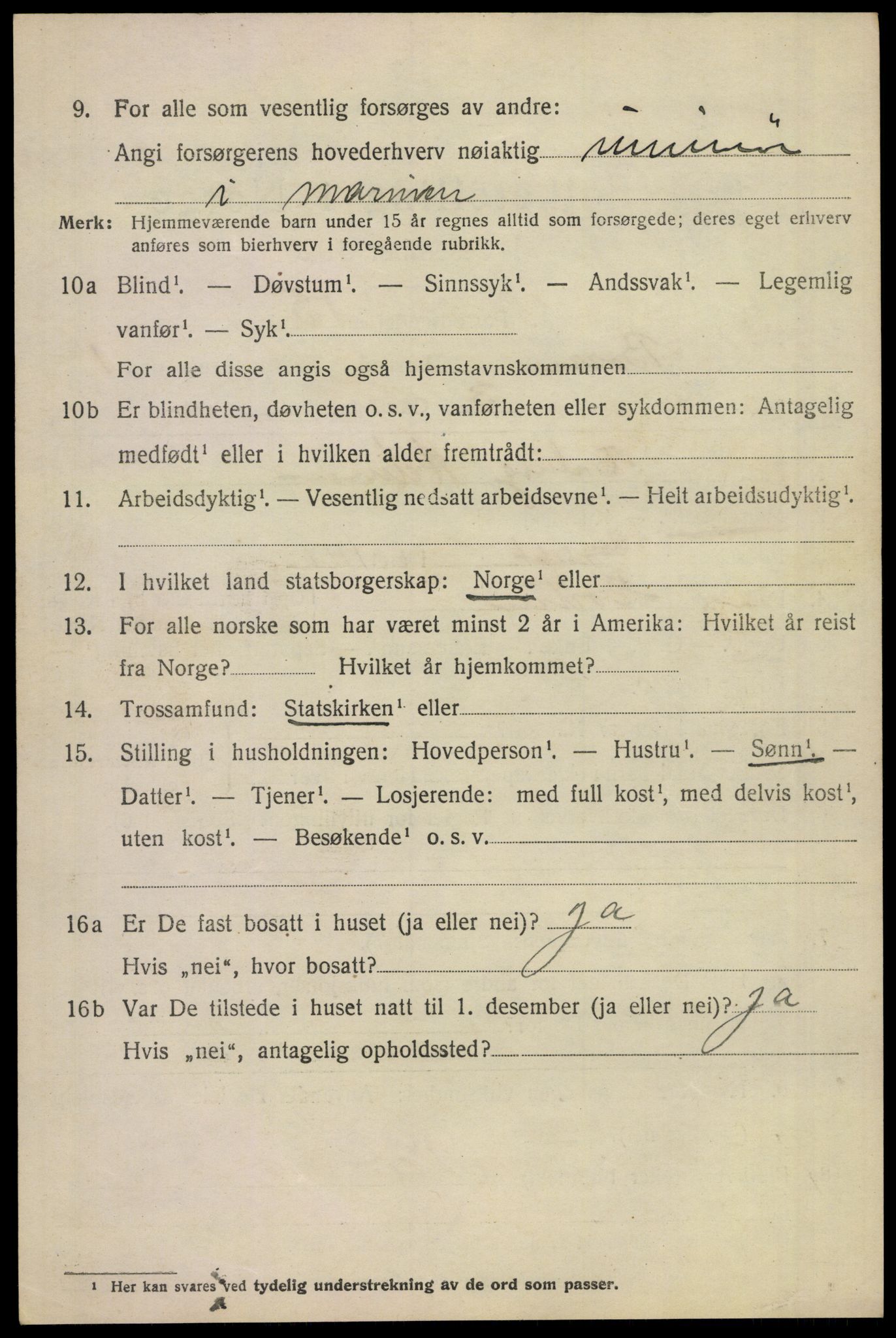 SAKO, 1920 census for Borre, 1920, p. 1437