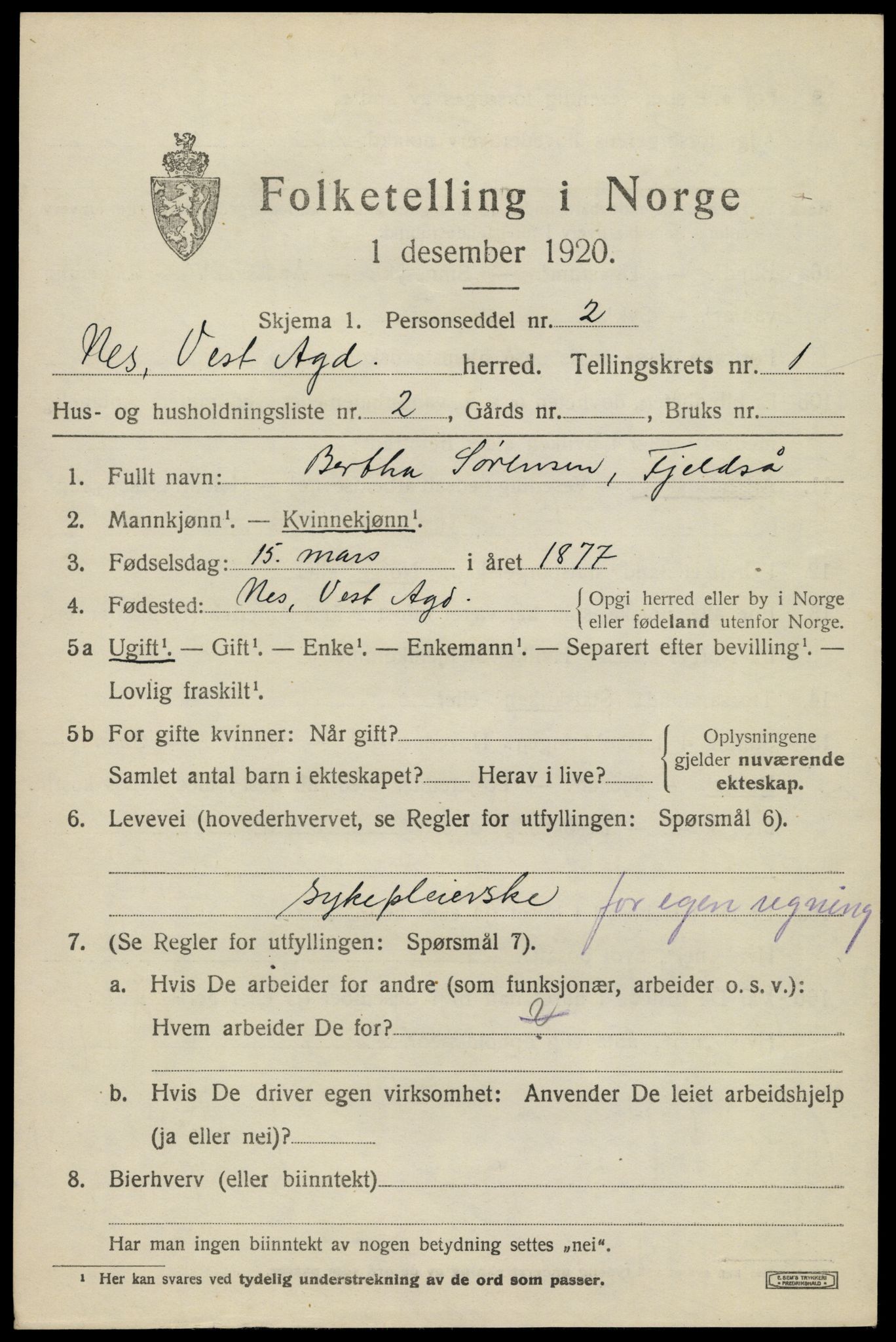 SAK, 1920 census for Nes (V-A), 1920, p. 1048