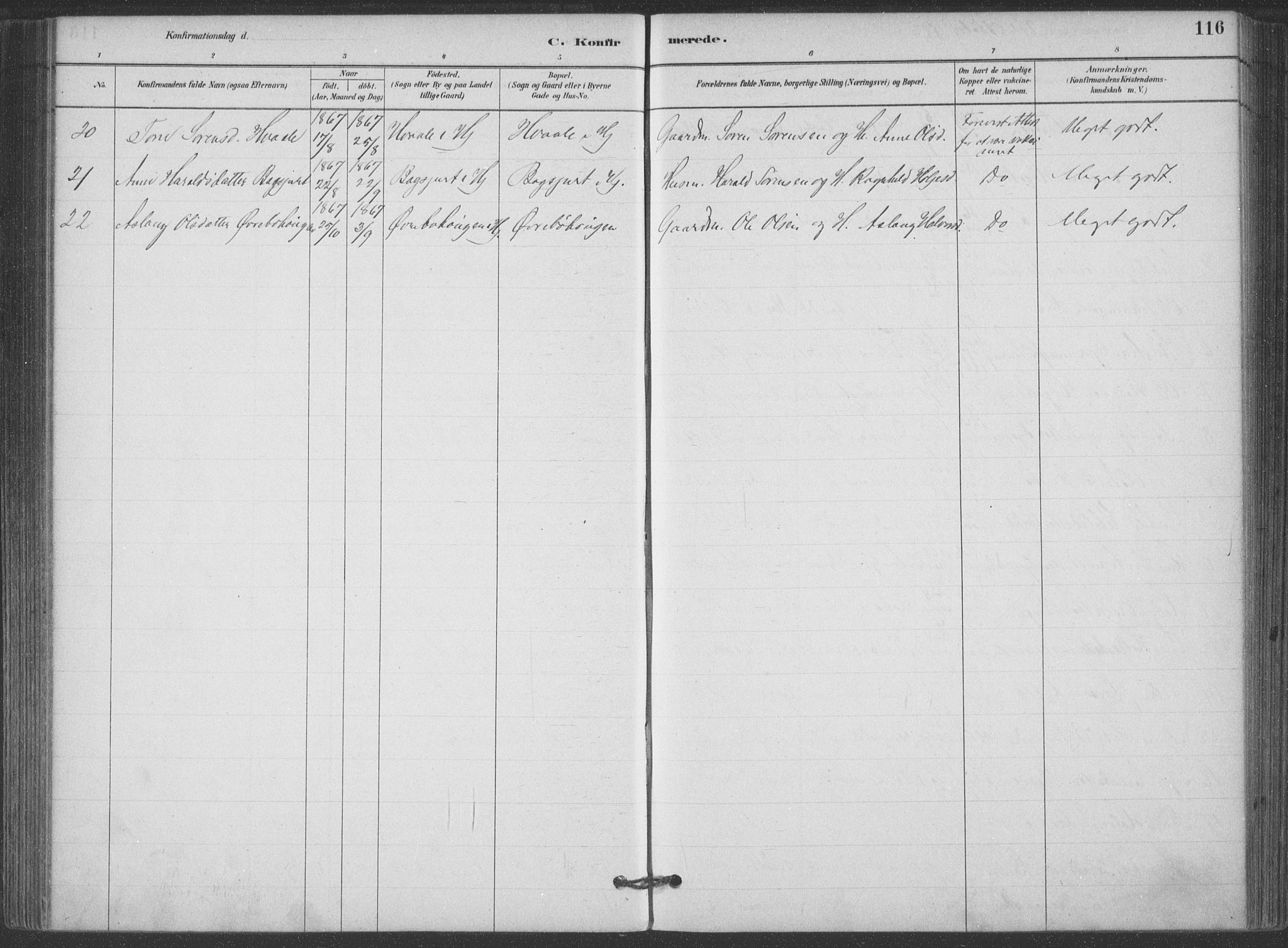 Hjartdal kirkebøker, SAKO/A-270/F/Fa/L0010: Parish register (official) no. I 10, 1880-1929, p. 116