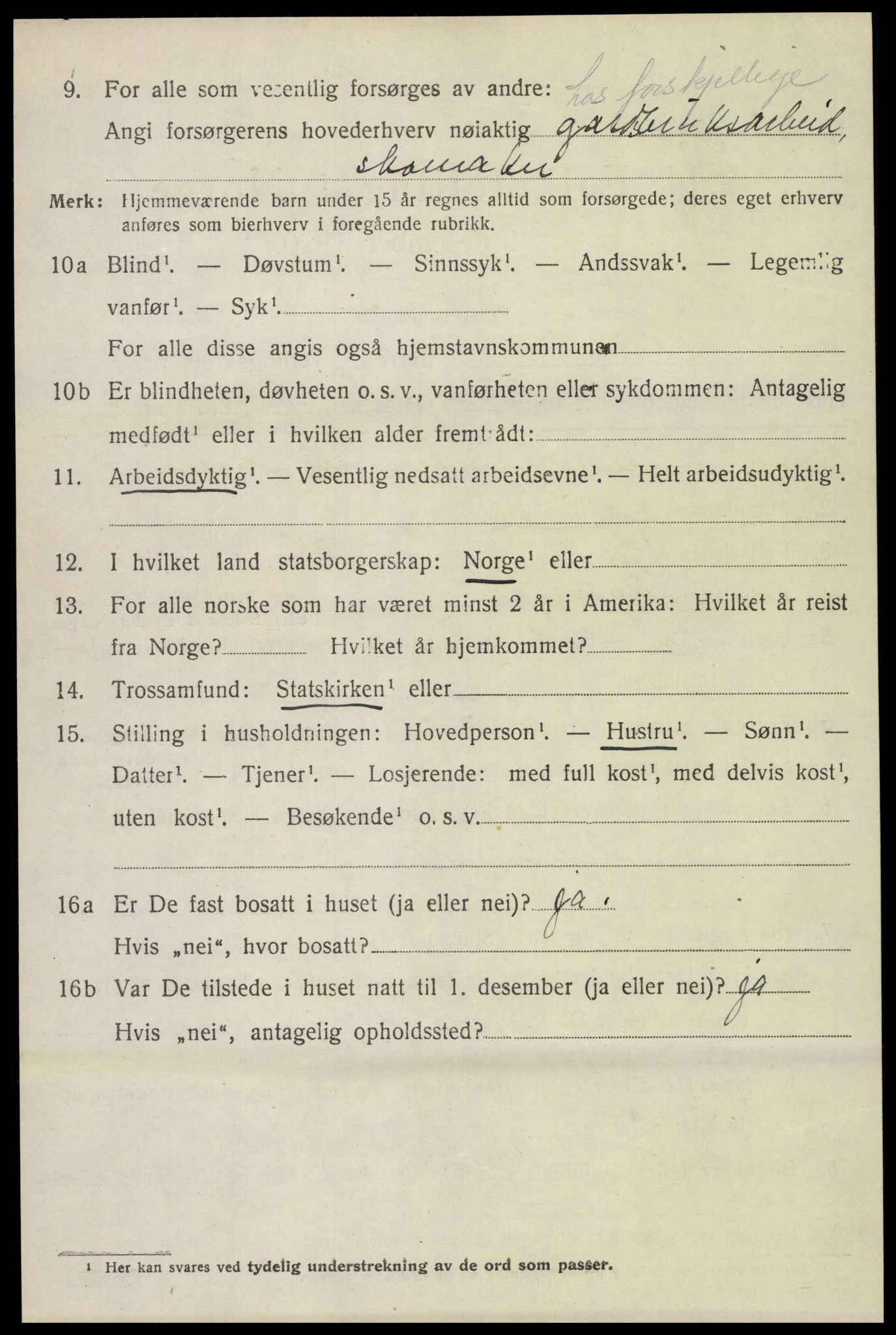 SAH, 1920 census for Lom, 1920, p. 2313