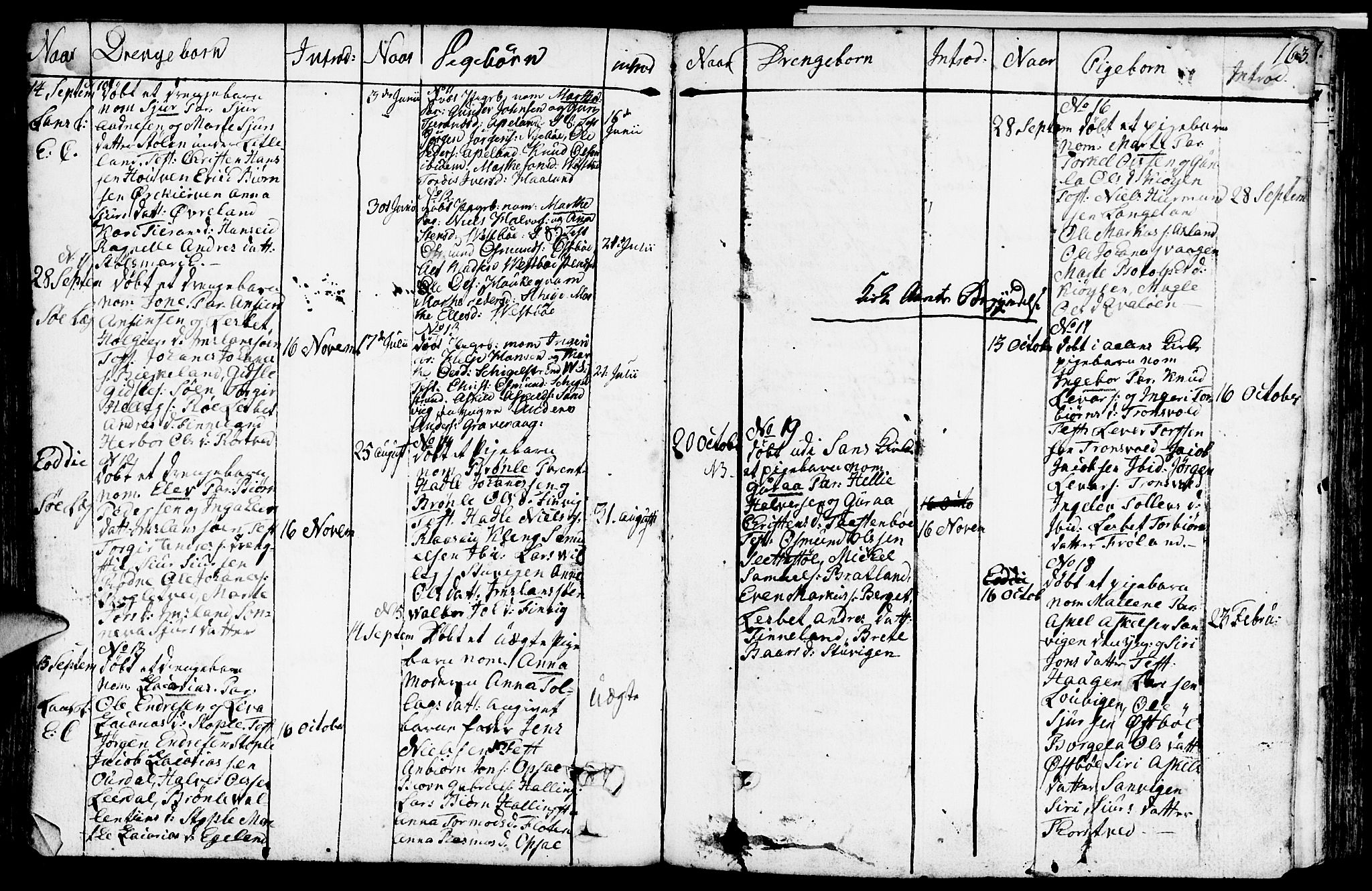 Vikedal sokneprestkontor, SAST/A-101840/01/IV: Parish register (official) no. A 2, 1779-1817, p. 163