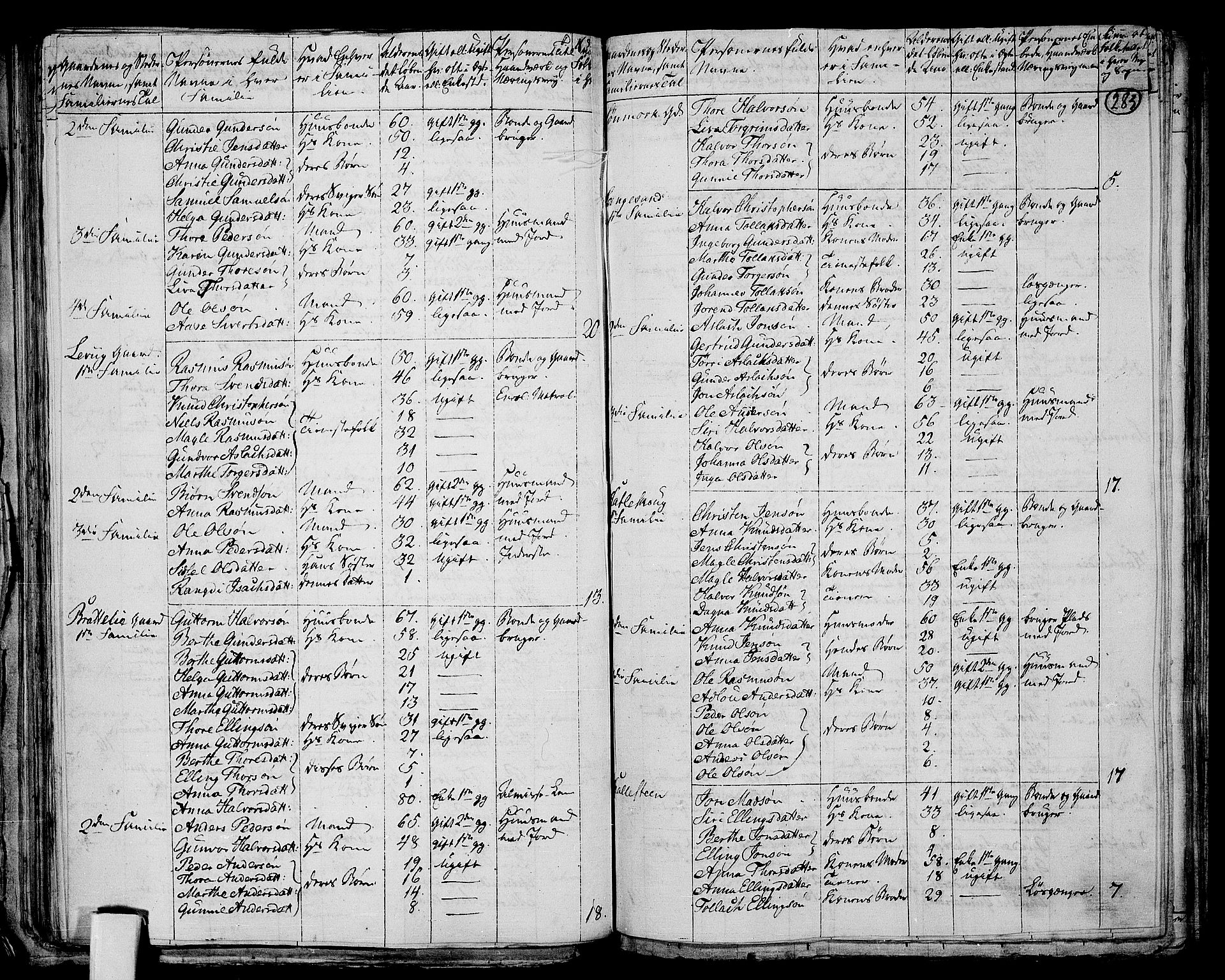 RA, 1801 census for 1130P Strand, 1801, p. 282b-283a